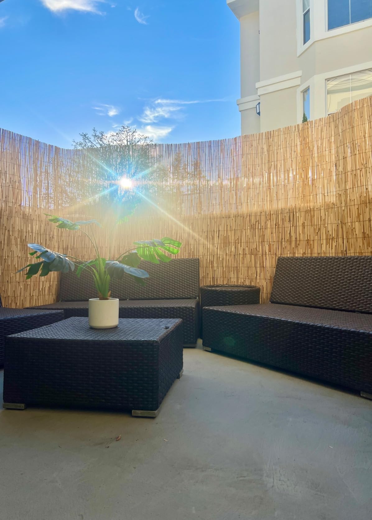 Forever Bamboo Jumbo Reed Natural Bamboo Screen Fencing Privacy Fence Backyard Divider Decorative Reed Garden Fencing 72 in H x 192 in L customer photo 1