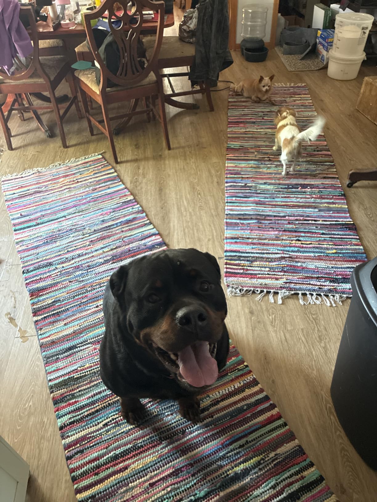Veken Non Slip Cushioned Rug Pad Gripper, Felt and Silicone Backing, 9 x 12 Ft, 3/8 inch Thick Carpet Liner Protector Mat for Area Rugs and Hardwood Floors, with Over 99 Pcs Anti-Slip Strips Pattern customer photo 2