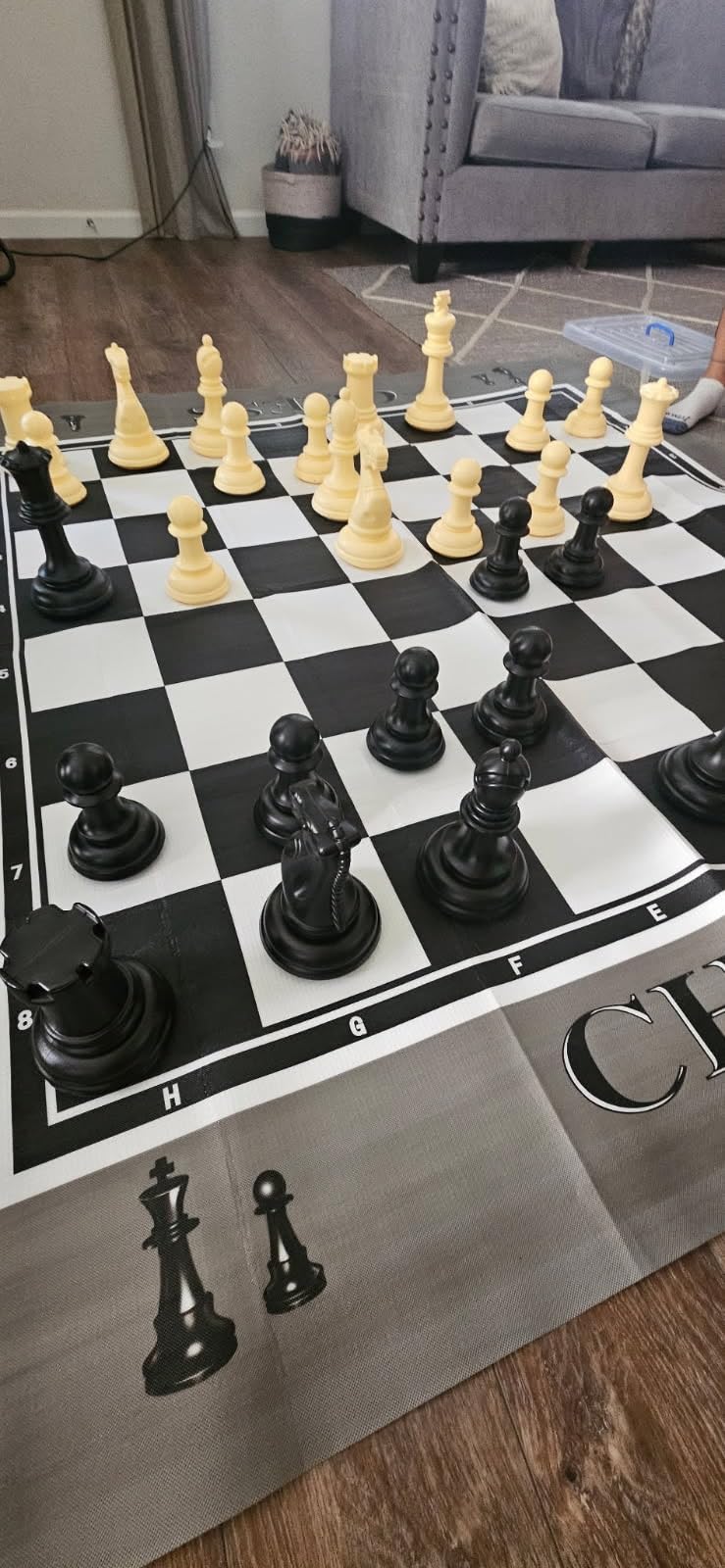 RAINBOW TOYFROG King Size Giant Chess Set with 10 Inch Pieces - Oversized Plastic Chess Game for Indoor/Outdoor Use with Waterproof Mat and Storage Box for Kids Adults Family Fun customer photo 2