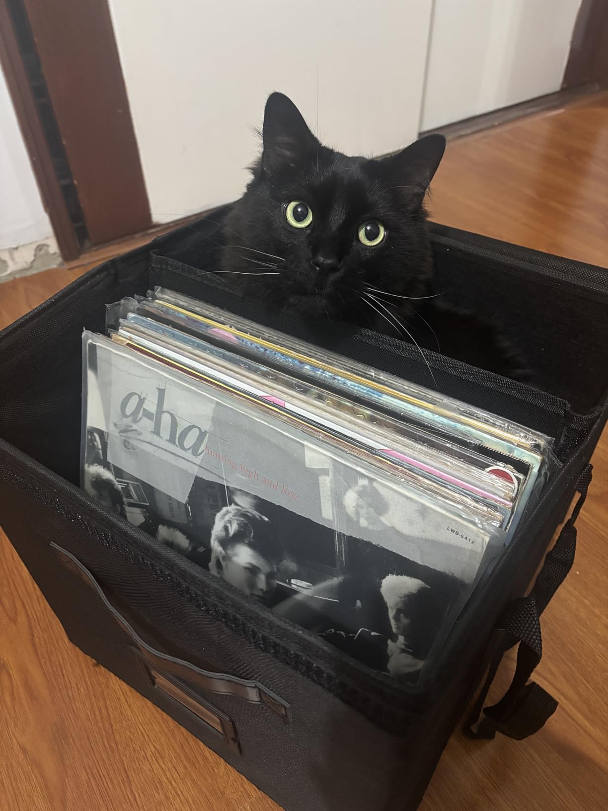 Uniclife Vinyl Record Storage Box with Lid & Handles | Collapsible, Splash-Resistant Album Storage Crate for 80 Single Records (12 inch) customer photo 2