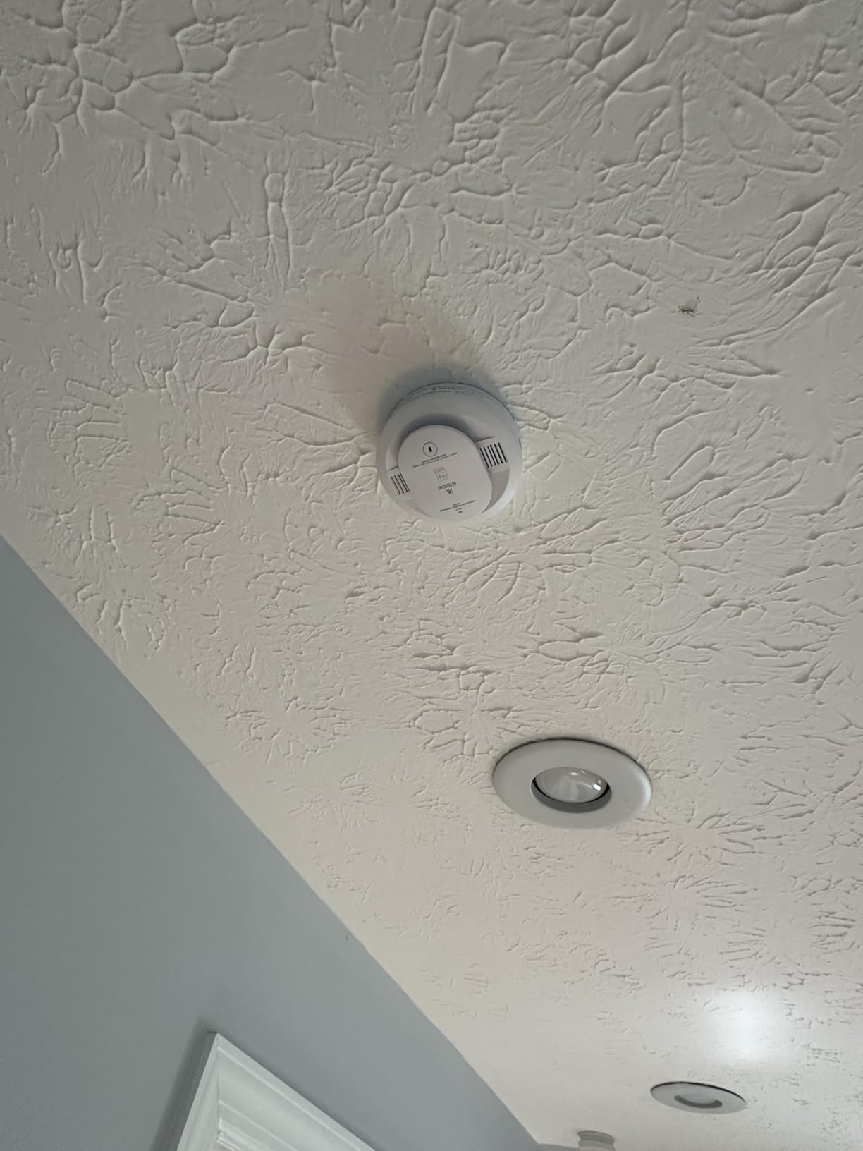 Kidde Smart Smoke & CO Detector with Ring, AA Battery, RGCUDR-RW customer photo 2