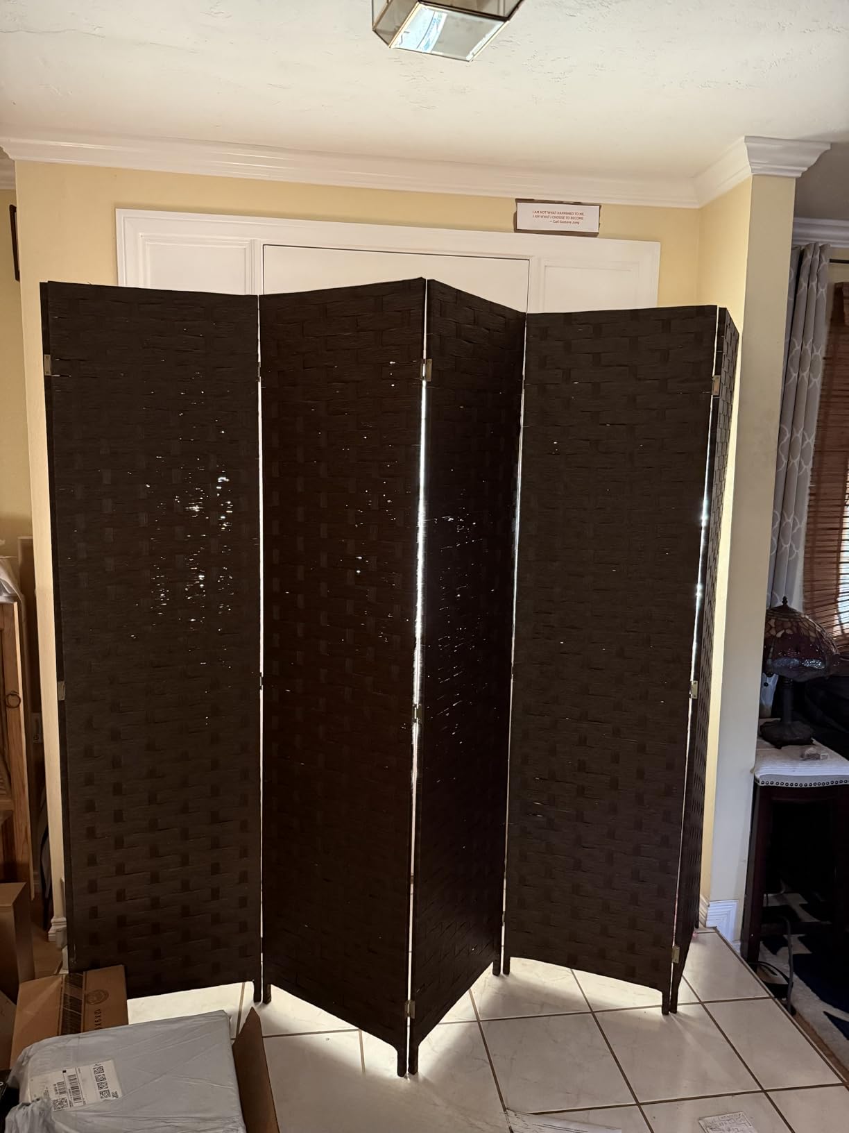 FDW 4-Panel Folding Room Divider | 6ft, Coal Black | Light & Portable | Wooden Wall Divider with Hand Woven Mesh | Easy to Move Privacy Screen | For Space Separation, Living Room, Bedroom, Office customer photo 1