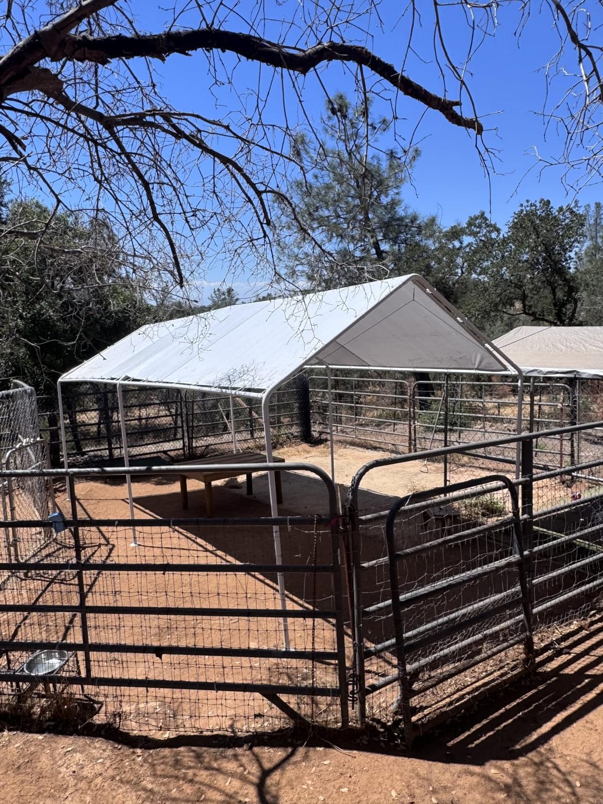 10'x20' Carport Heavy Duty Galvanized Car Canopy with Included Anchor Kit, 3 Reinforced Steel Cables, Silver Gray customer photo 2
