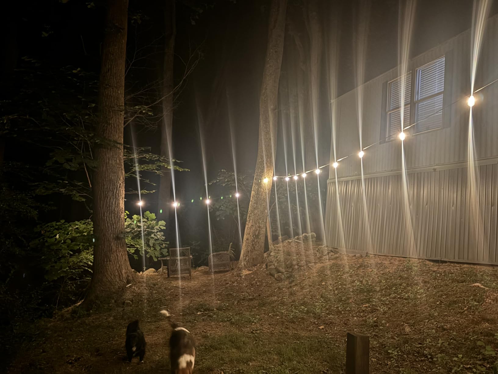 addlon 100FT Outdoor String Lights ST38 LED with APP Control Waterproof customer photo 2