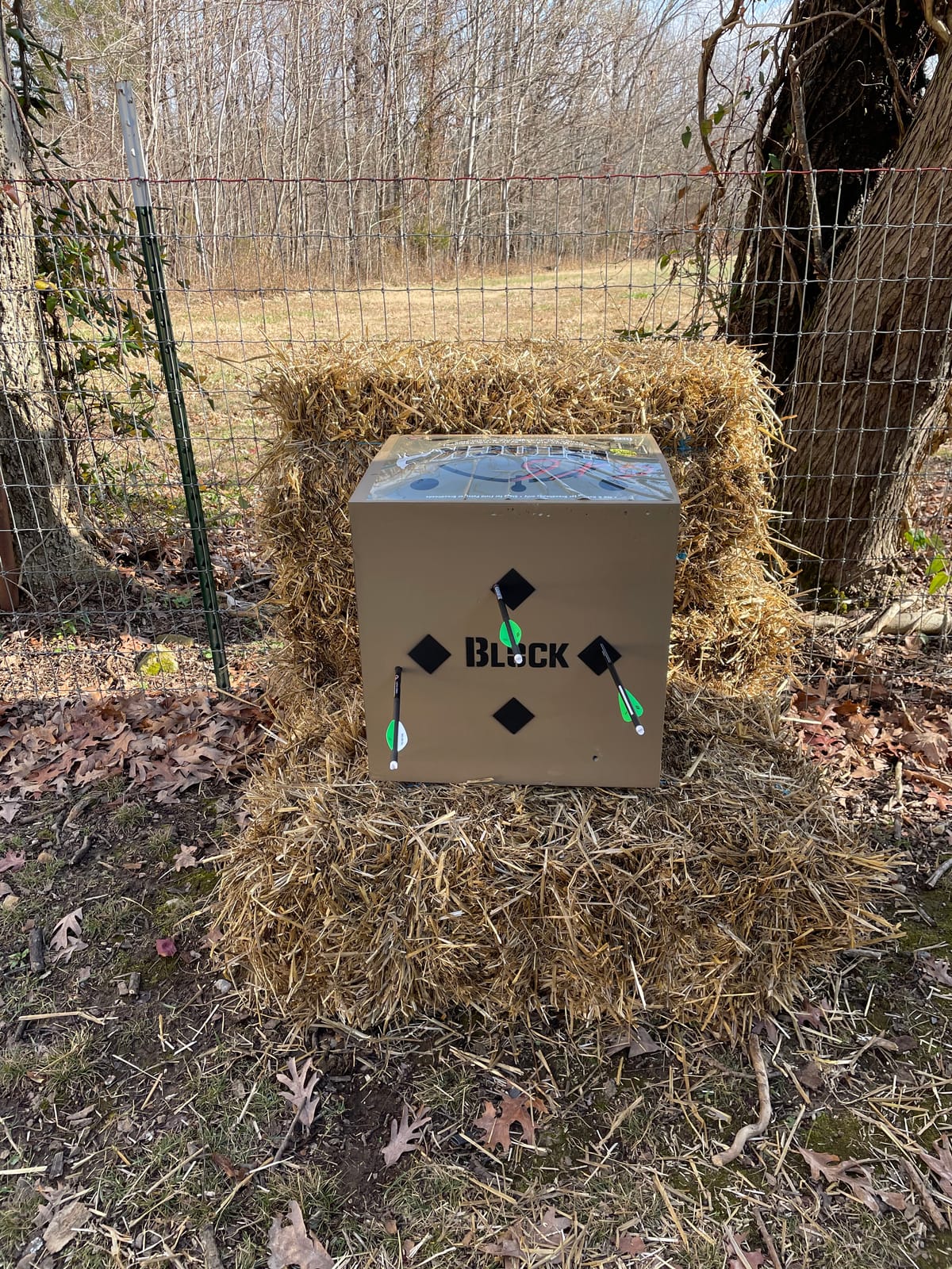 Barnett Whitetail Series Crossbow Package - Hunting Crossbows with 4x32 Scope, Arrows, Quiver & Cocking Device Options - Multiple Models & Configurations customer photo 1