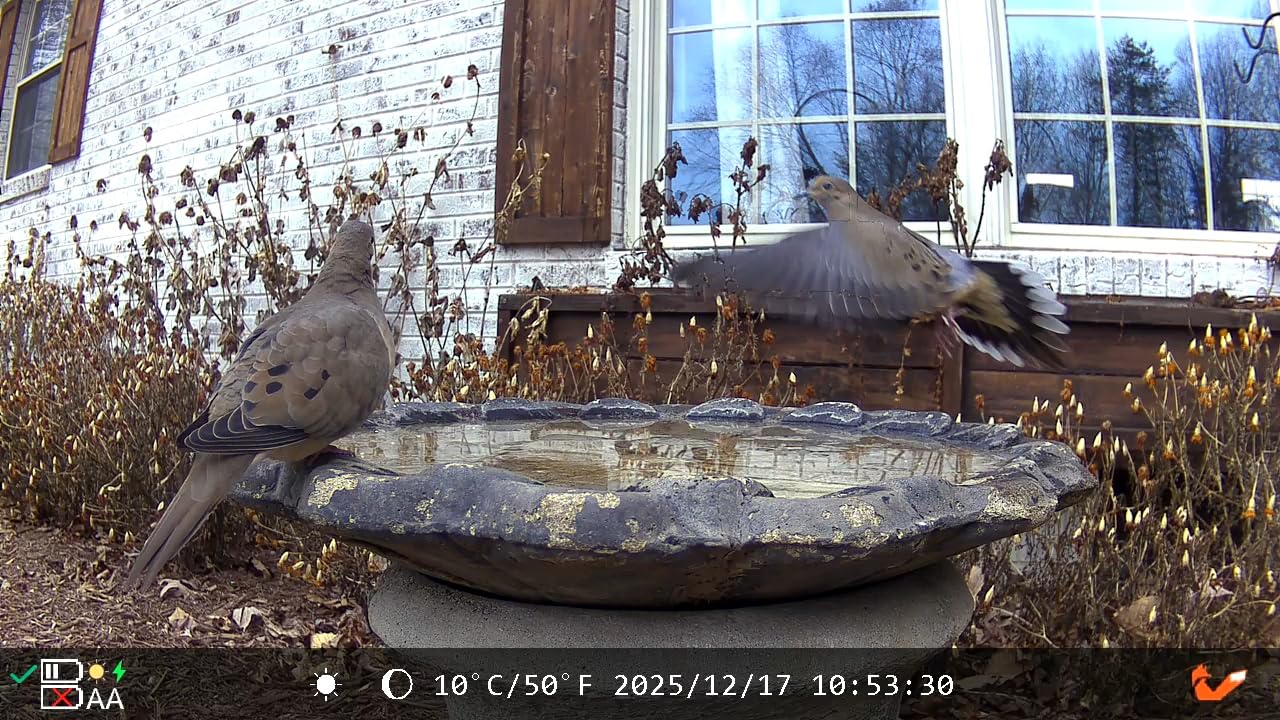 4G LTE Cellular Trail Camera, 2.5K 360° Live Feed with SIM Card Included customer photo 2