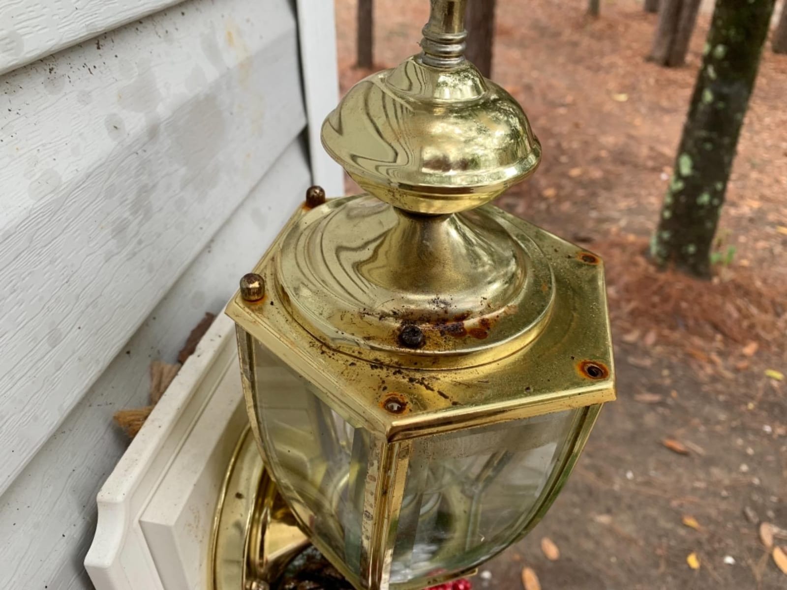 Westinghouse 6696400 One-Light Wall Lantern,Polished Brass customer photo 1