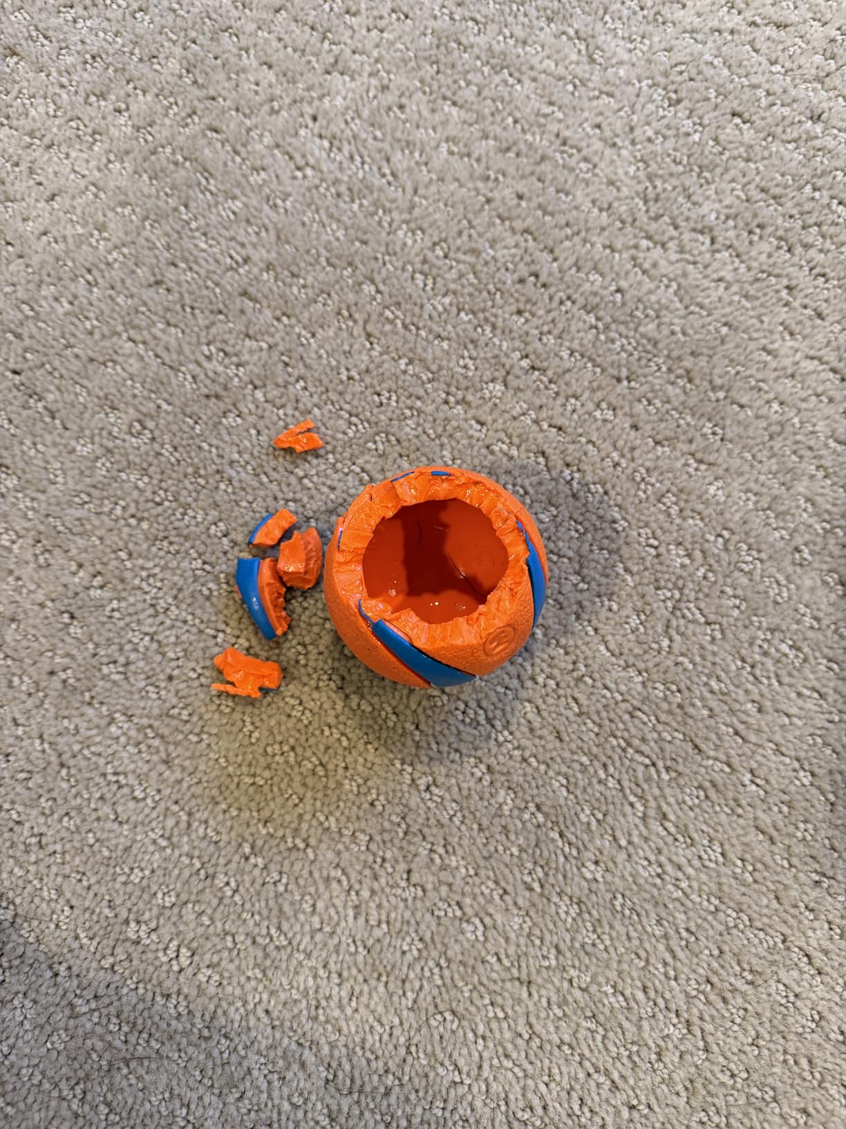 Chuckit! Ultra Rubber Dog Ball, Floating Fetch Toy, Medium 2.5-in, 2-Pack customer photo 1