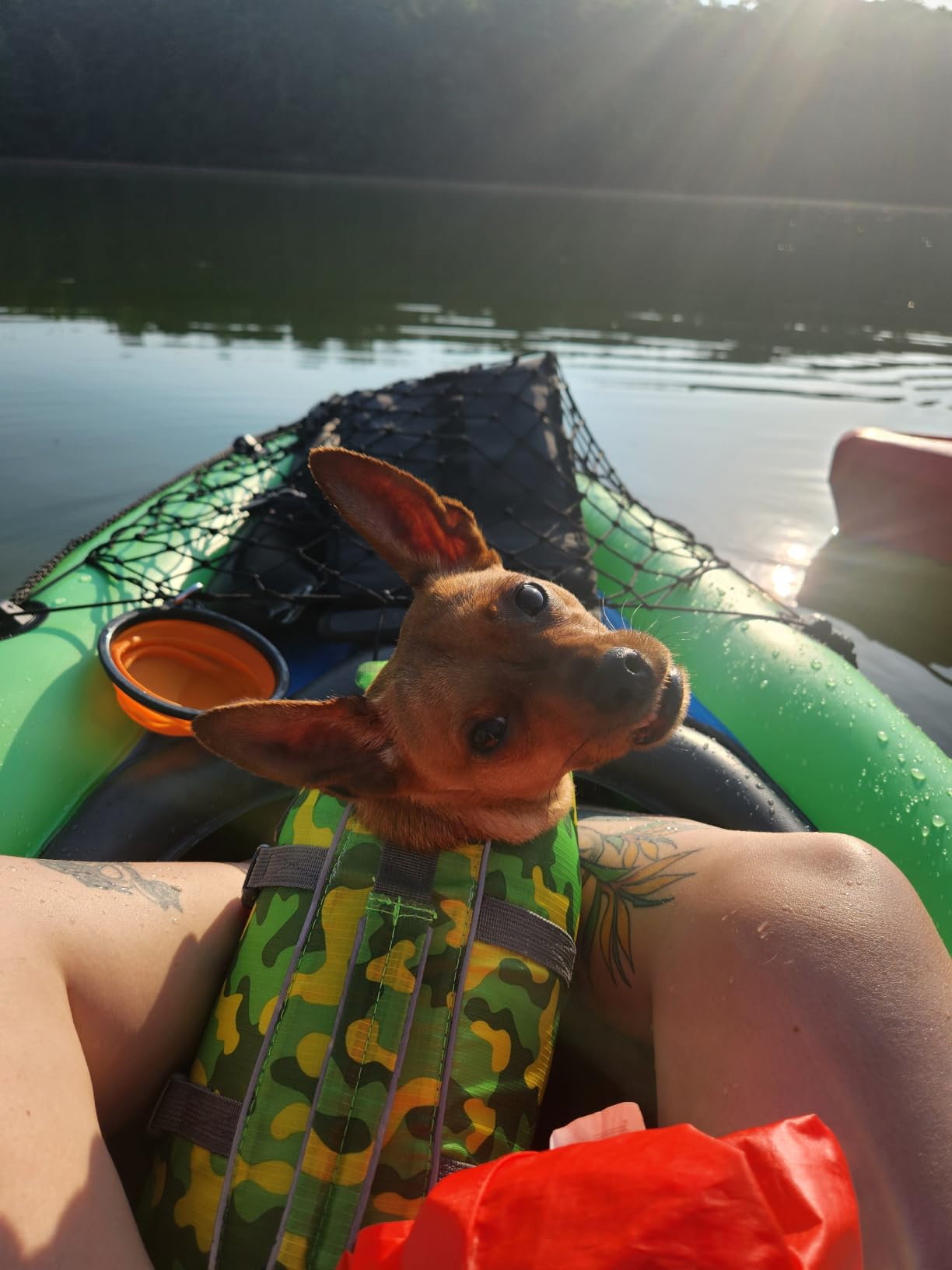 INTEX Challenger Inflatable Kayak Series: Includes Deluxe 86in Kayak Paddles and High-Output Pump – SuperStrong PVC – Adjustable Seat with Backrest – Removable Skeg – Cargo Storage Net customer photo 1