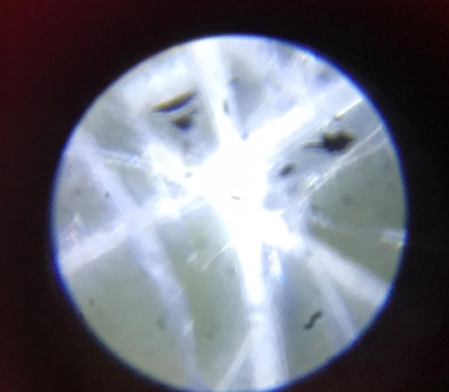 Educational Insights Nancy B's Science Club Microscope for Kids, Microscope Kit, Gift for Boys & Girls, Ages 8-12 customer photo 2