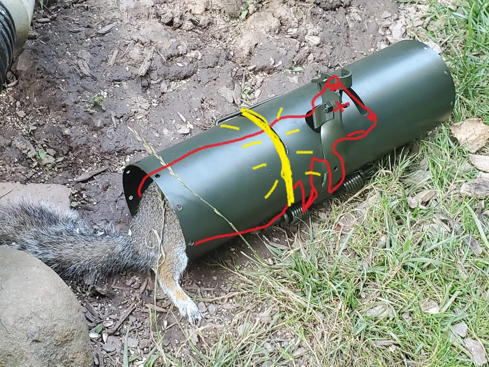 WCS Tube Tunnel Squirrel Trap - 15
