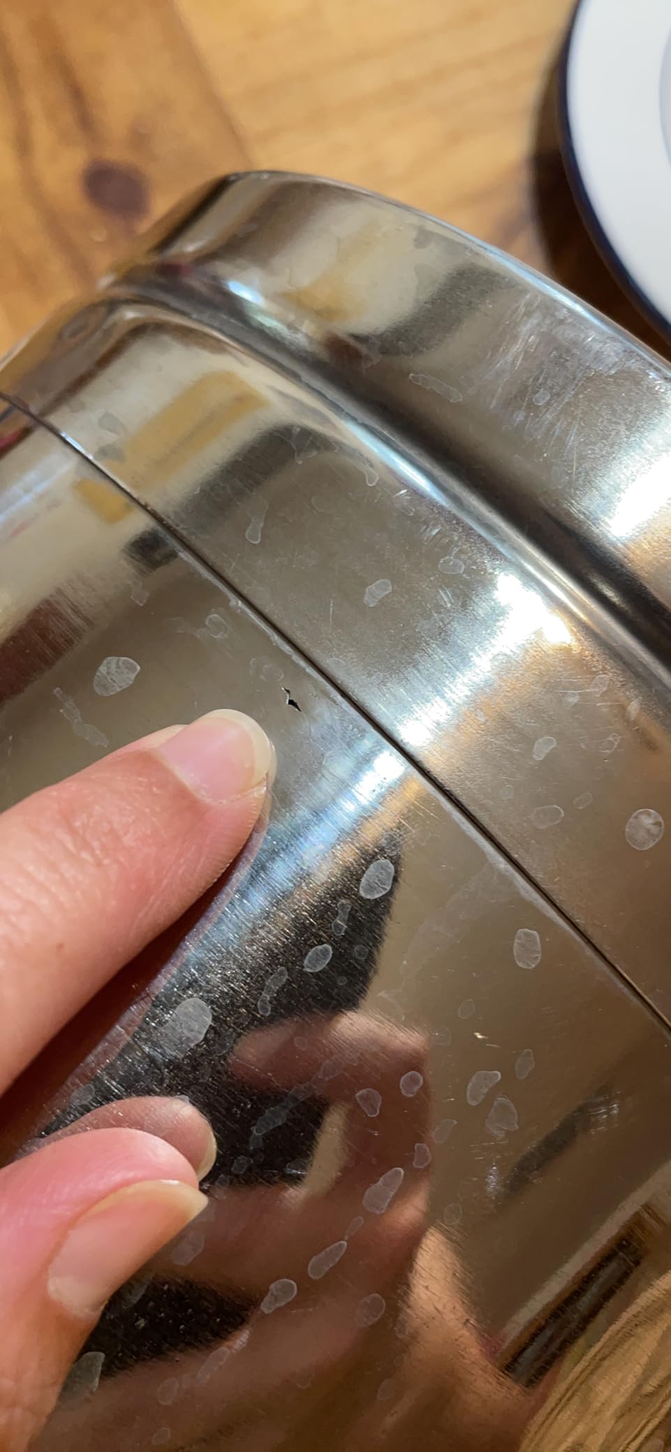 Stainless Steel Milk Can Totes (10 liter) customer photo 1