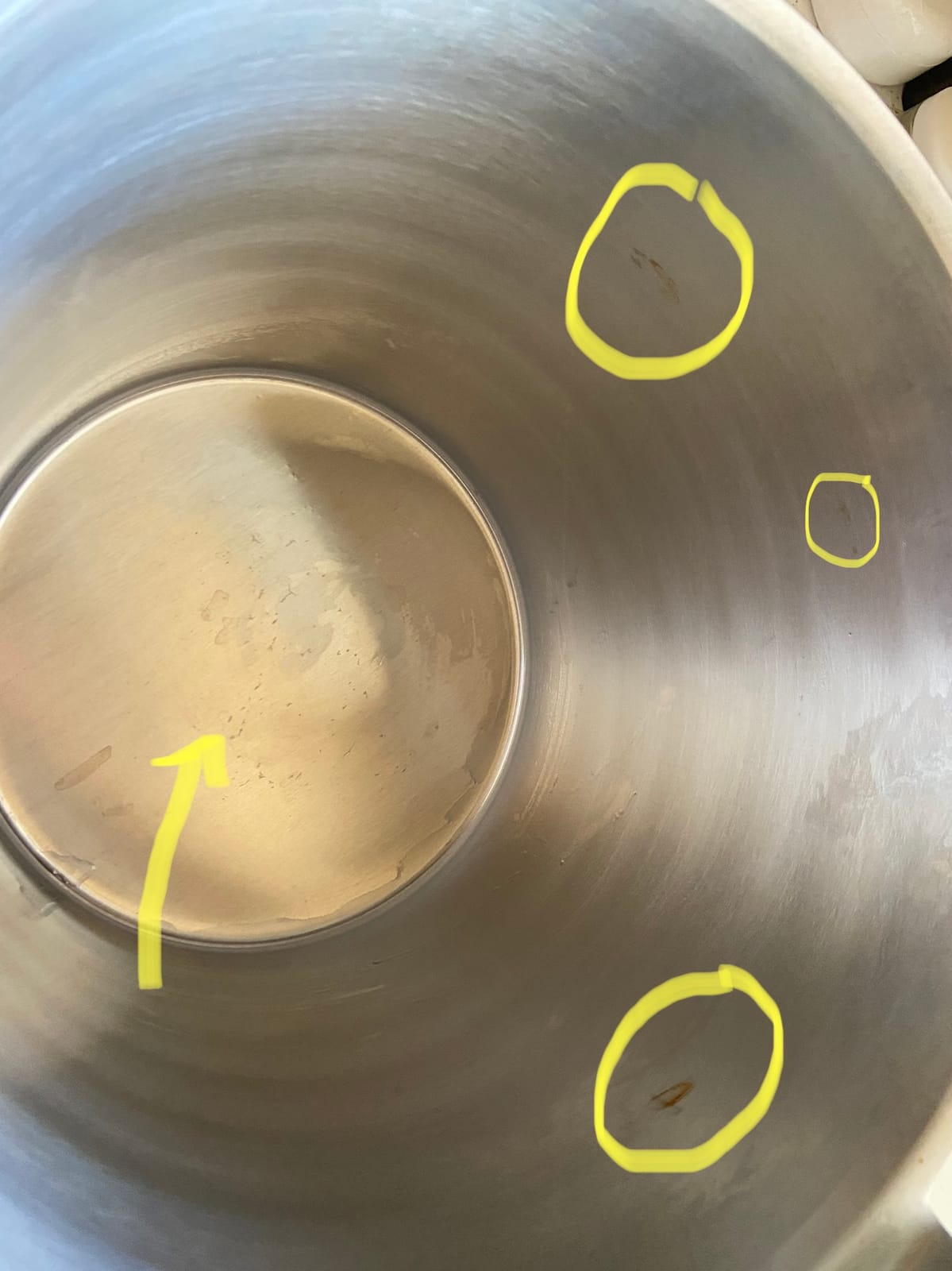 The Dairy Shoppe Premium Stainless Steel Pail, Vet/Milk Bucket, Made in USA, Completely Seamless & Thick, 9-20 Qt Sizes (13 Quart) customer photo 1