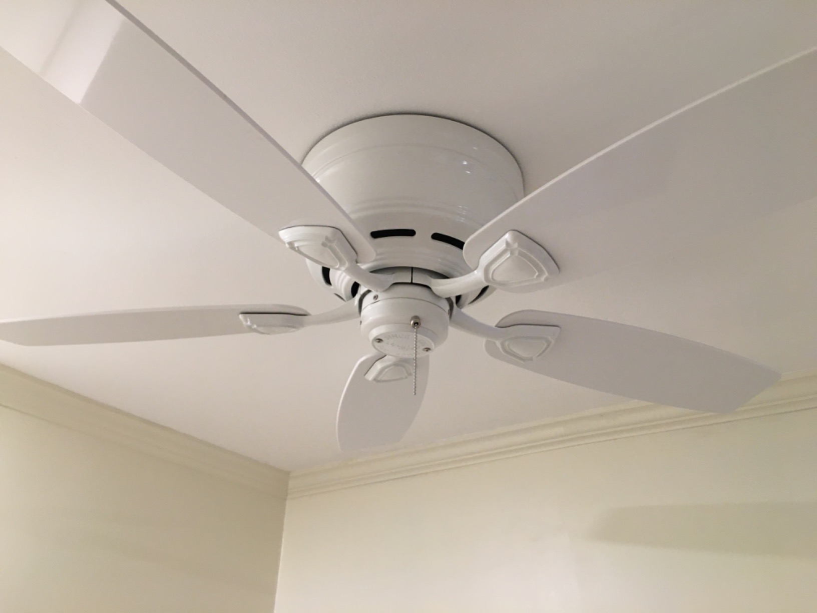 Hunter Sea Wind, Outdoor or Indoor, Ceiling Fan, 48 inch, Matte Black customer photo 1