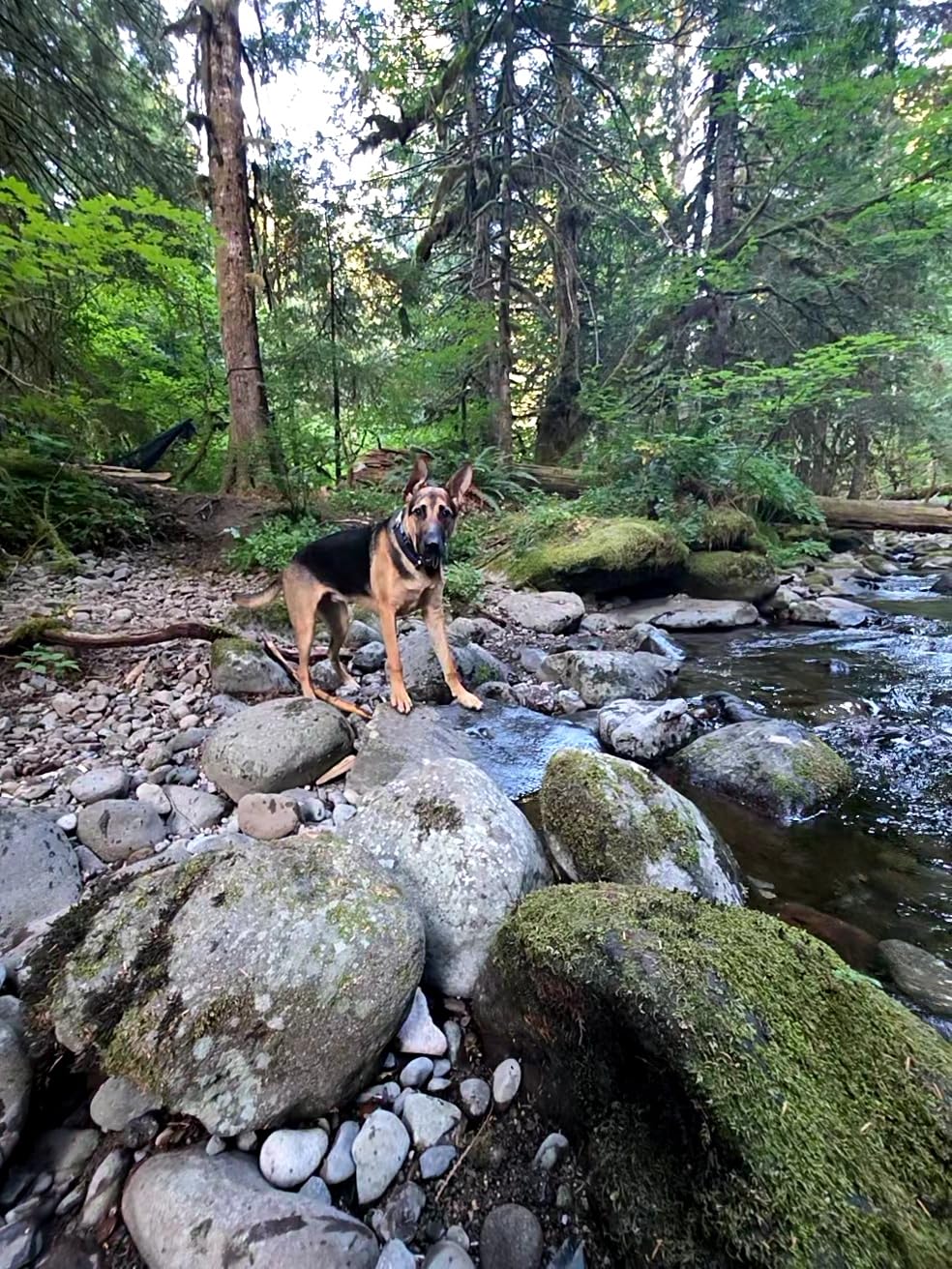 MSR TrailShot Ultralight Backpacking and Camping Squeeze Water Filter customer photo 2