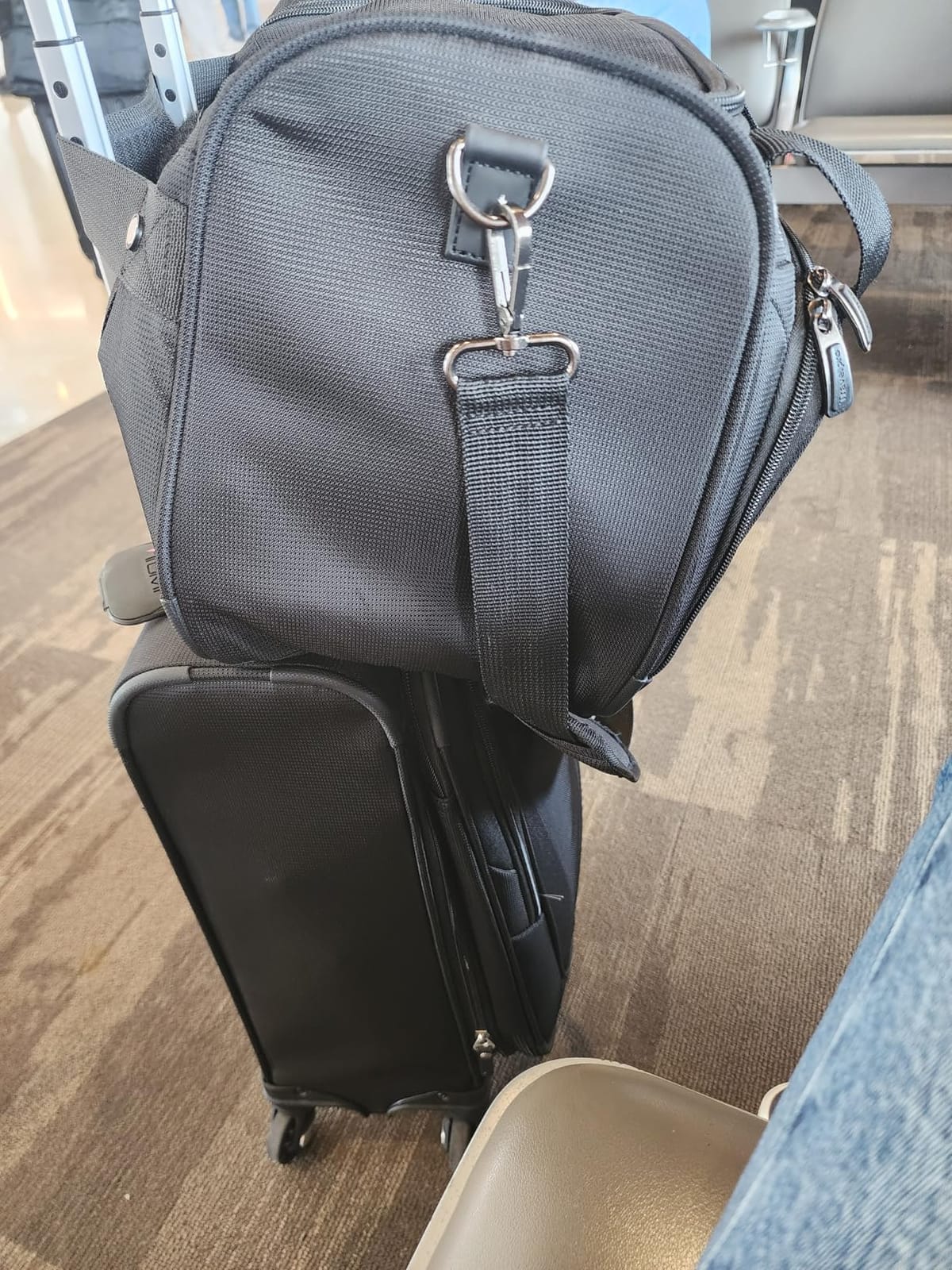 Travelpro Maxlite 5 Softside Checked Luggage Spinner, Black, 29-Inch customer photo 2
