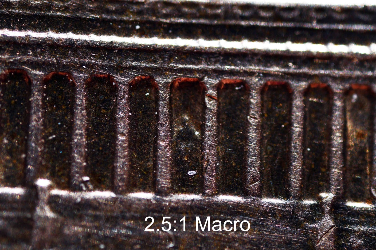 Venus Laowa 25mm f/2.8 2.5-5x Ultra-Macro Lens for Nikon F customer photo 2