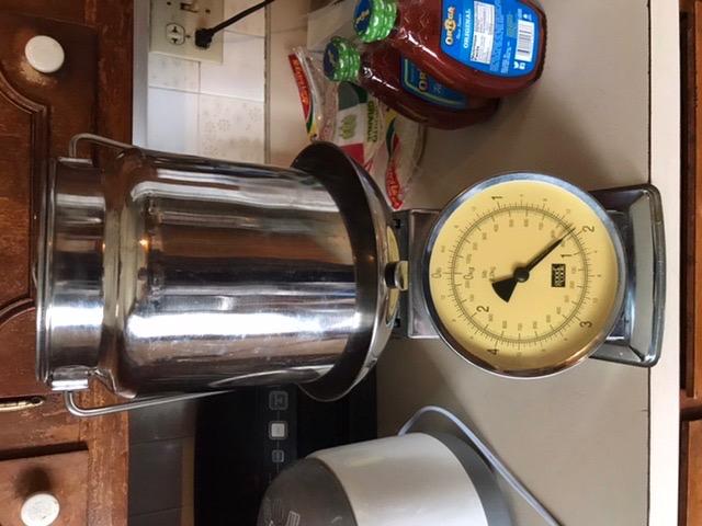 Rural365 Metal Jug - 4 Liter Stainless Steel, Rustic Milk Can with Lid, Old-Fashioned Jug Vase customer photo 1