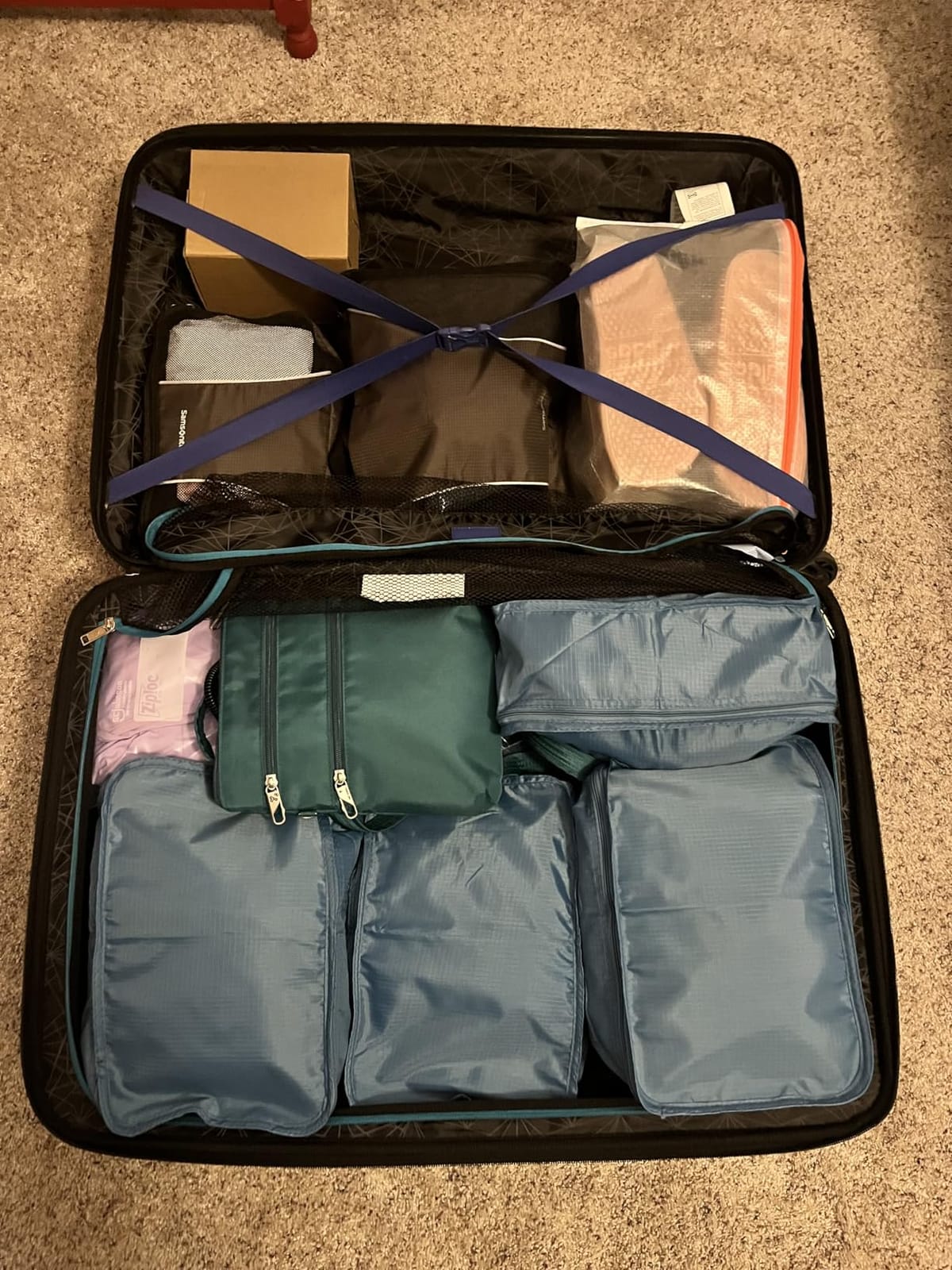 Travel Shoe Bags, Foldable Waterproof Shoe Puches Organizer-Double Layer (Multi-colored4) customer photo 1