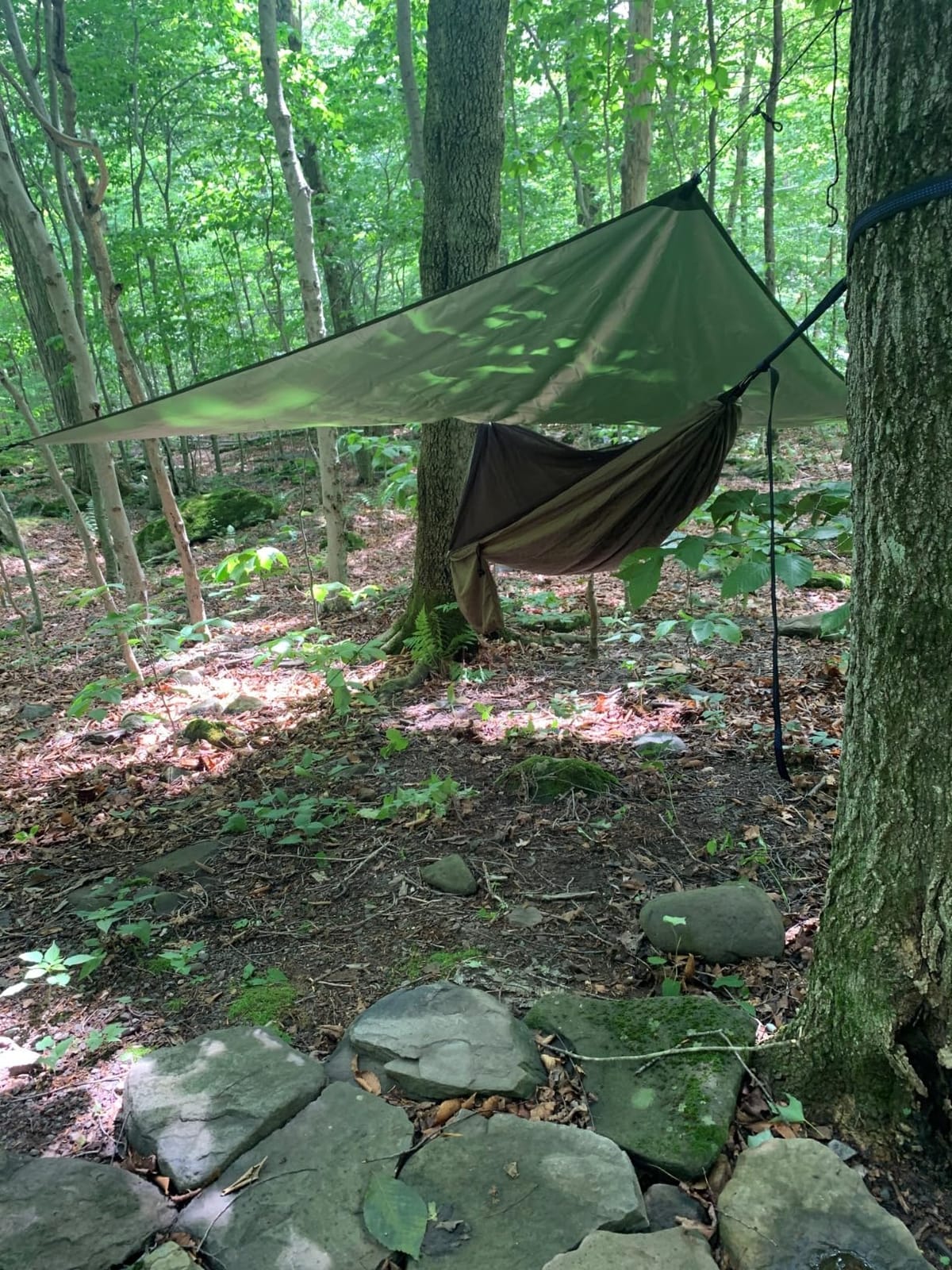 Camping Hammock with Rain Fly Tarp and Mosquito Net Tent Tree Straps, Portable Single Double Nylon Parachute Hammock Rainfly Set for Backpacking Hiking Travel Yard Outdoor Activities Green customer photo 1