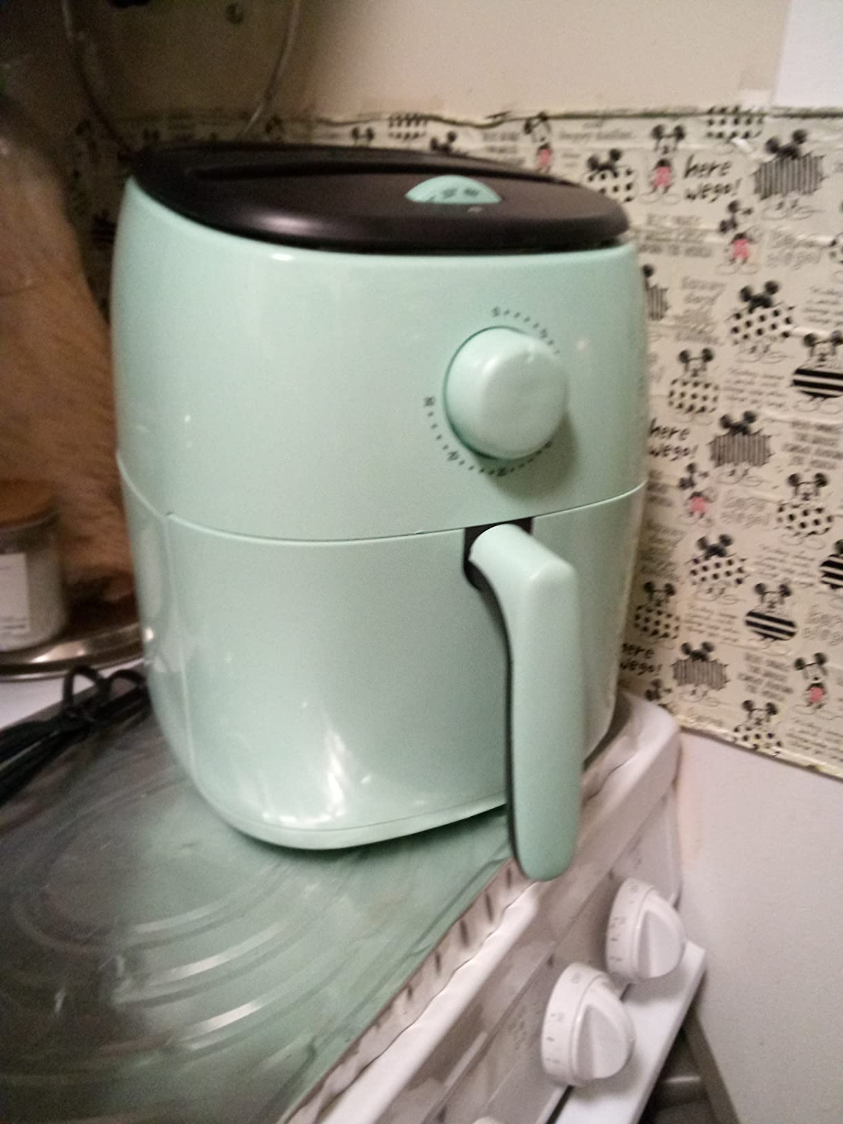 Dash Tasti-Crisp Air Fryer, 2.6 Quart, Aqua customer photo 1