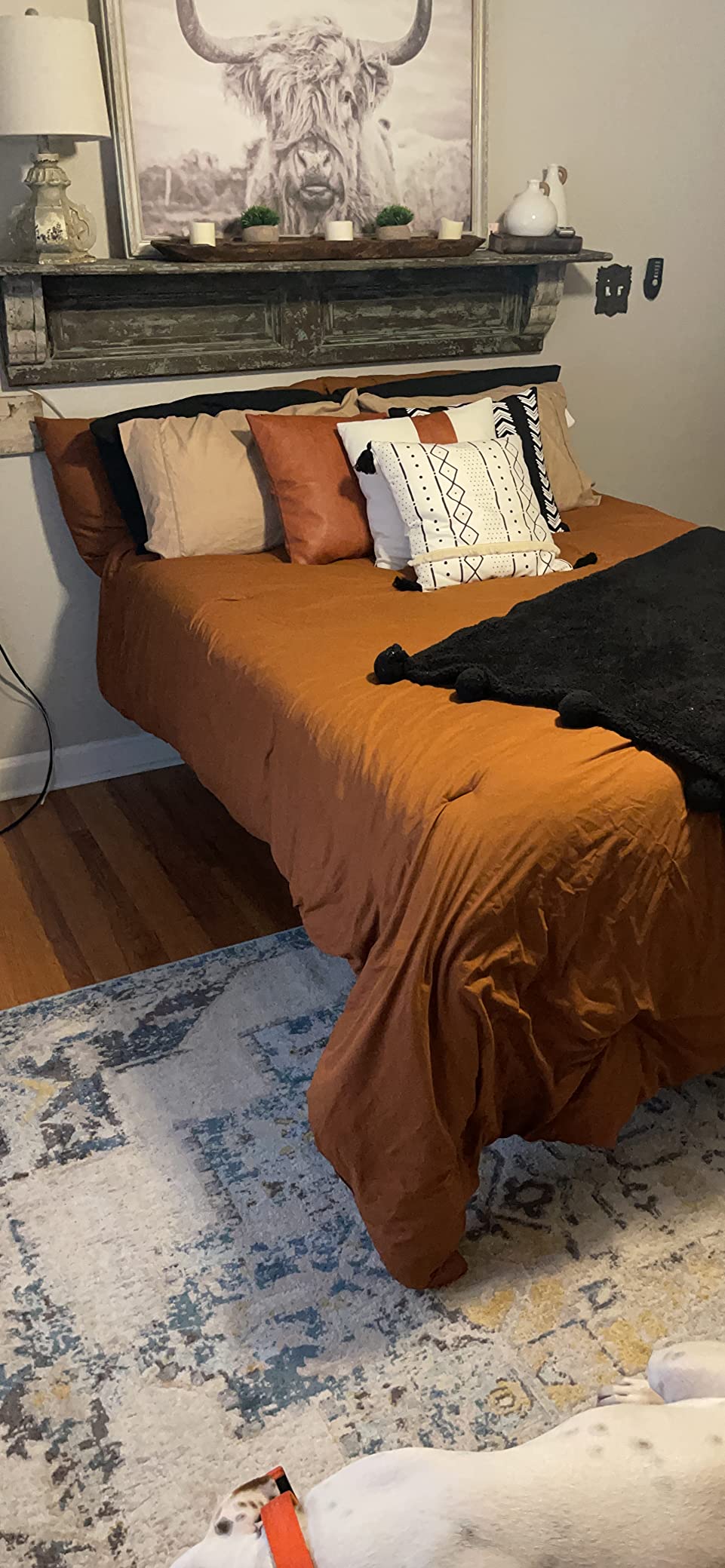 Lucid 14-Inch Bamboo Charcoal customer photo 1
