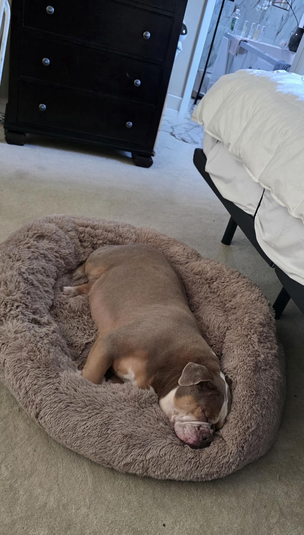 Bedsure Calming Dog Bed Medium Size Dog Donut Washable Pet Bed,30ins Camel customer photo 1