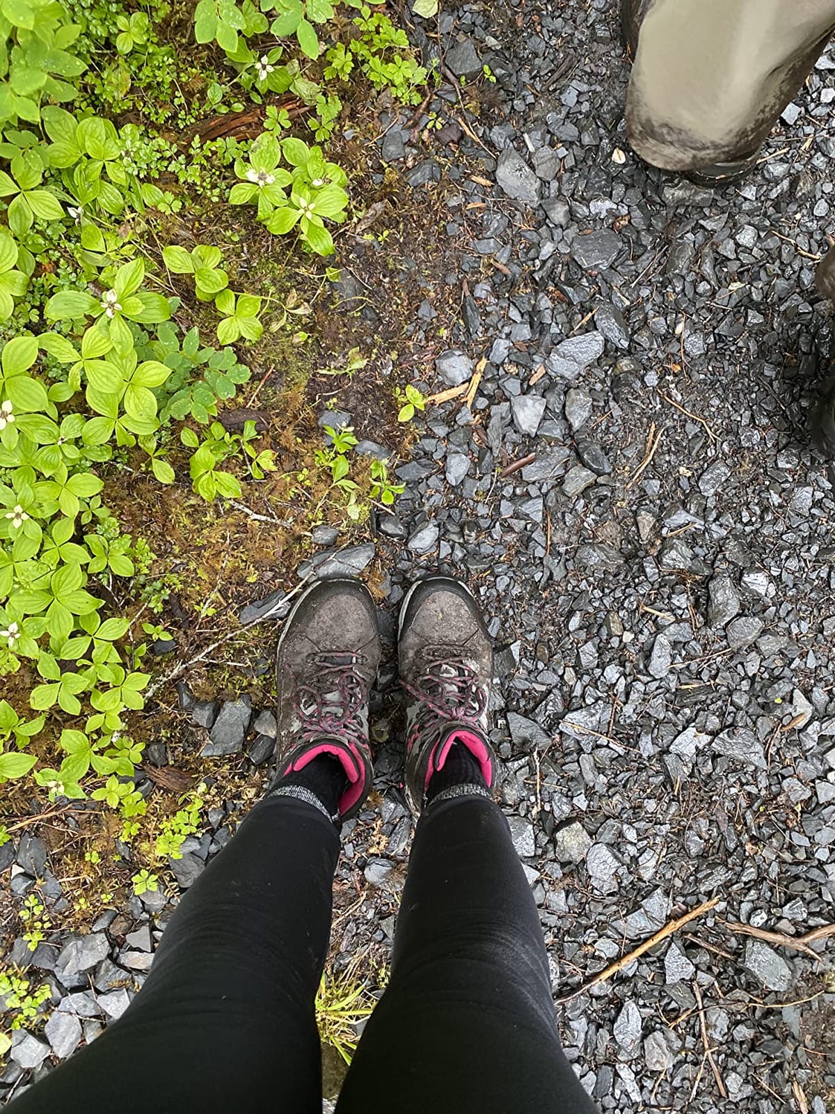 Foxelli Women’s Hiking Boots – Waterproof Lightweight Suede Leather Hiking Boots for Women with All-Day Comfort, Grip & Support for Trails, Travel & Outdoors customer photo 2