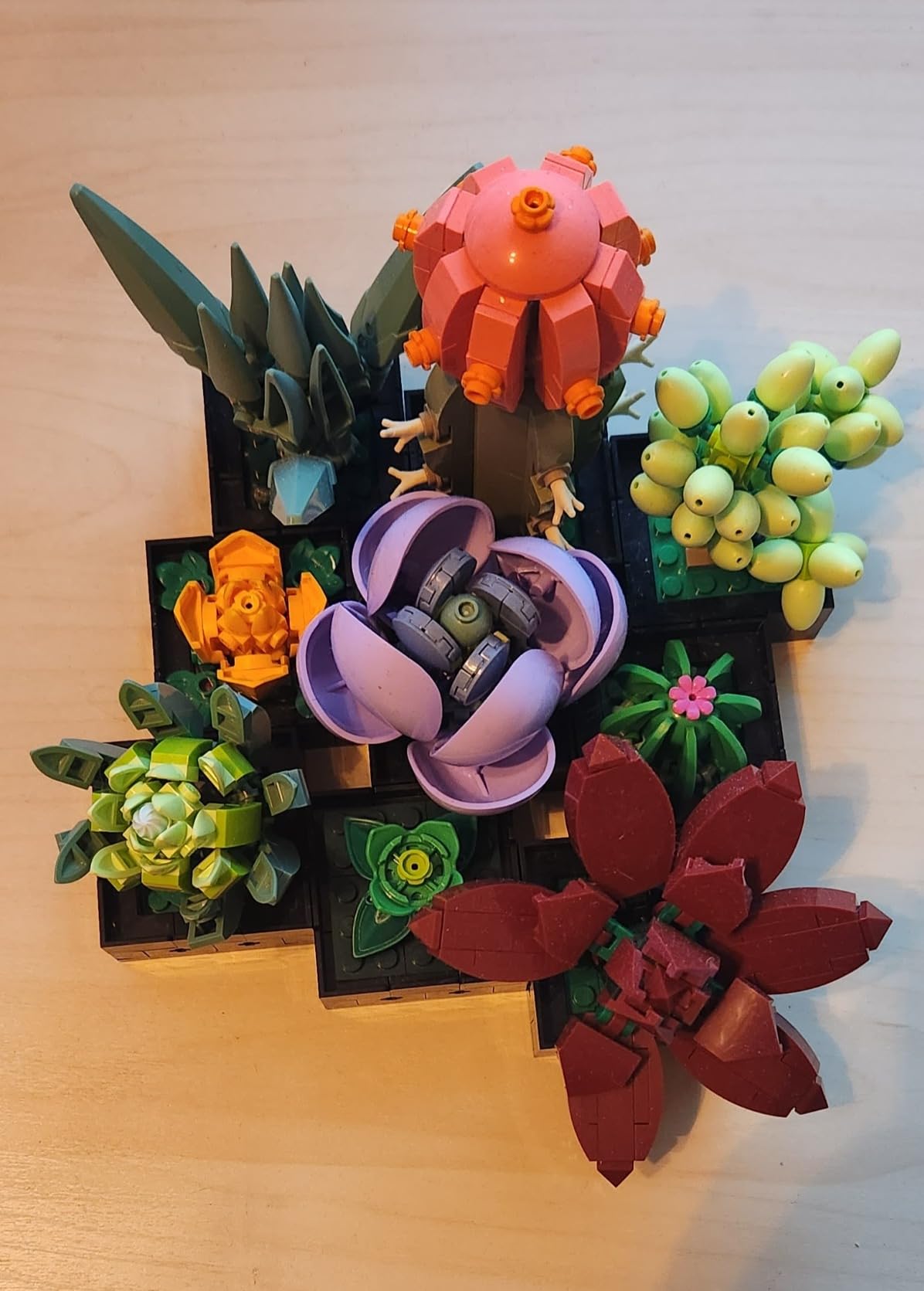 LEGO Botanicals Succulents 10309 customer photo 1