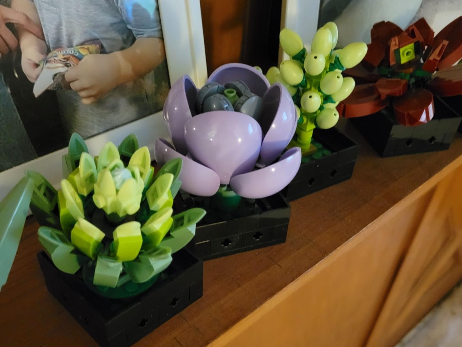 LEGO Botanicals Succulents 10309 customer photo 2