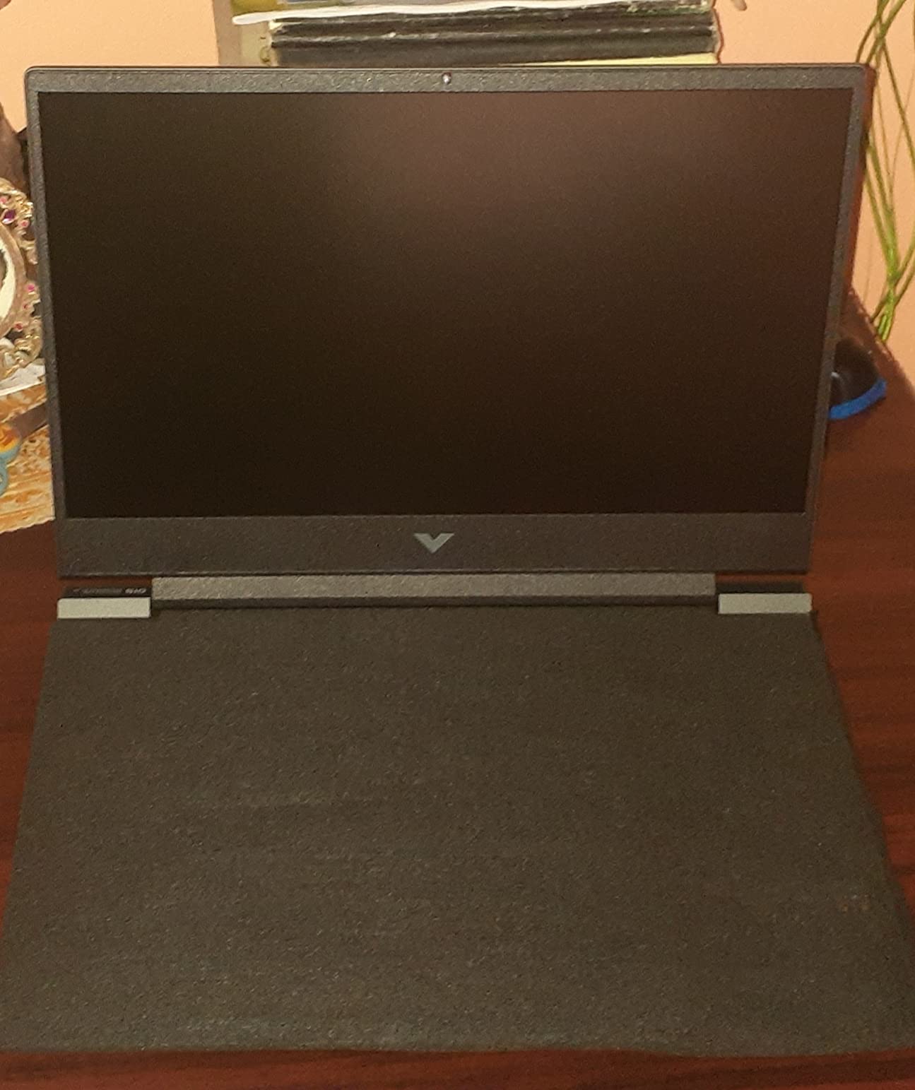 HP Victus 15 fa0025nr customer photo 2