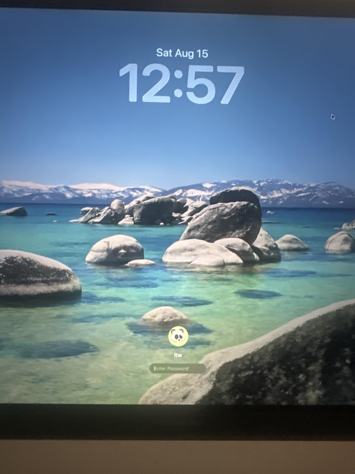 Apple Late 2019 MacBook Pro with 2.3GHz Intel Core i9 (16-inch, 32GB RAM, 1TB SSD) Space Gray (Renewed) customer photo 1