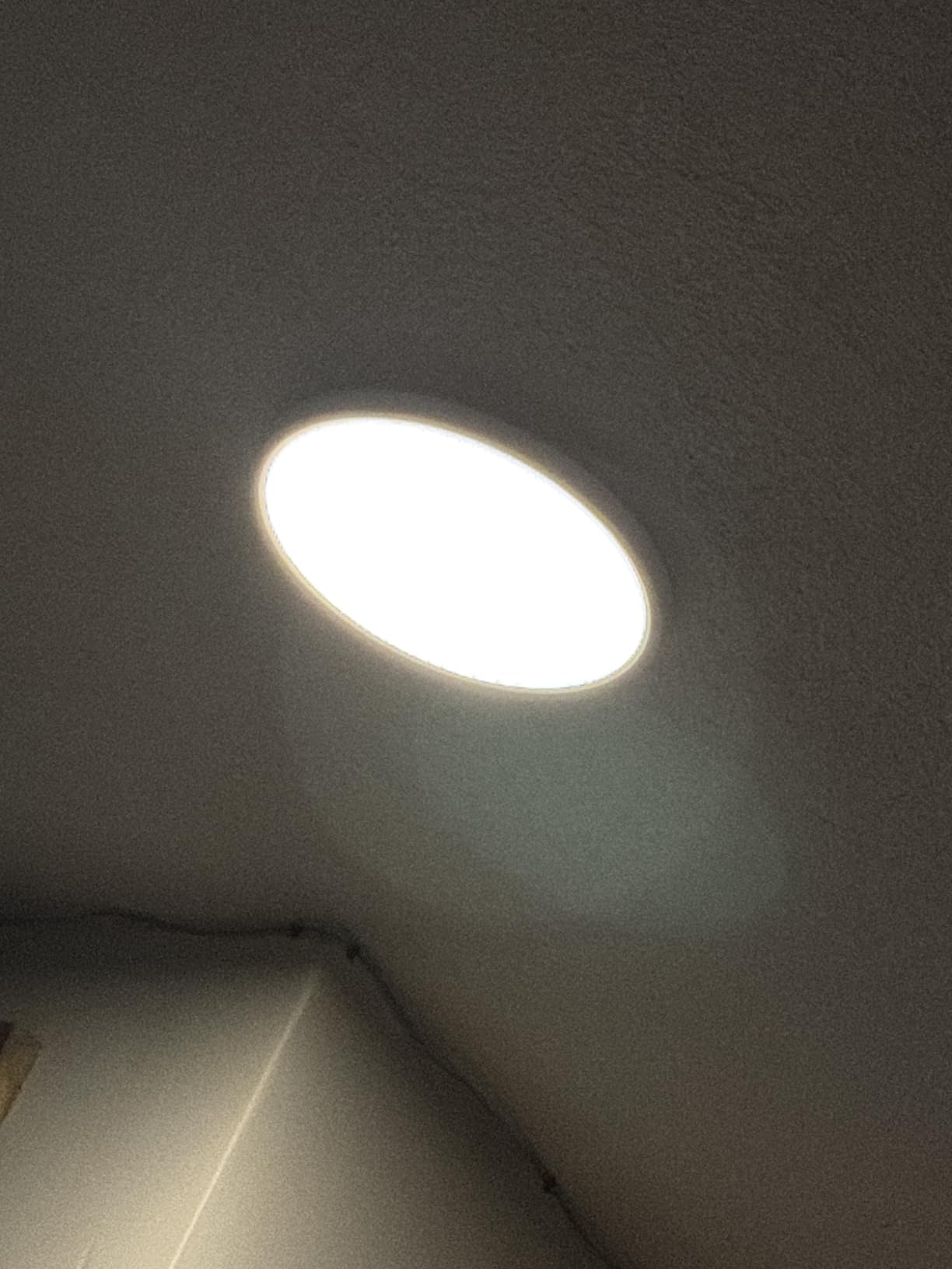 MELEGAN 12 Inch Smart RGB LED Flush Mount Ceiling Light (1 Pcs) customer photo 1