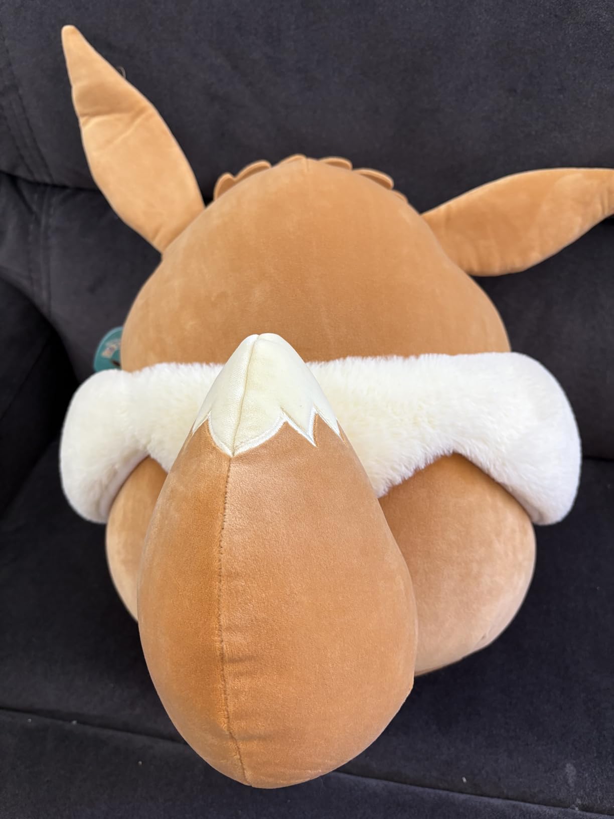 Pikachu 14-Inch customer photo 1