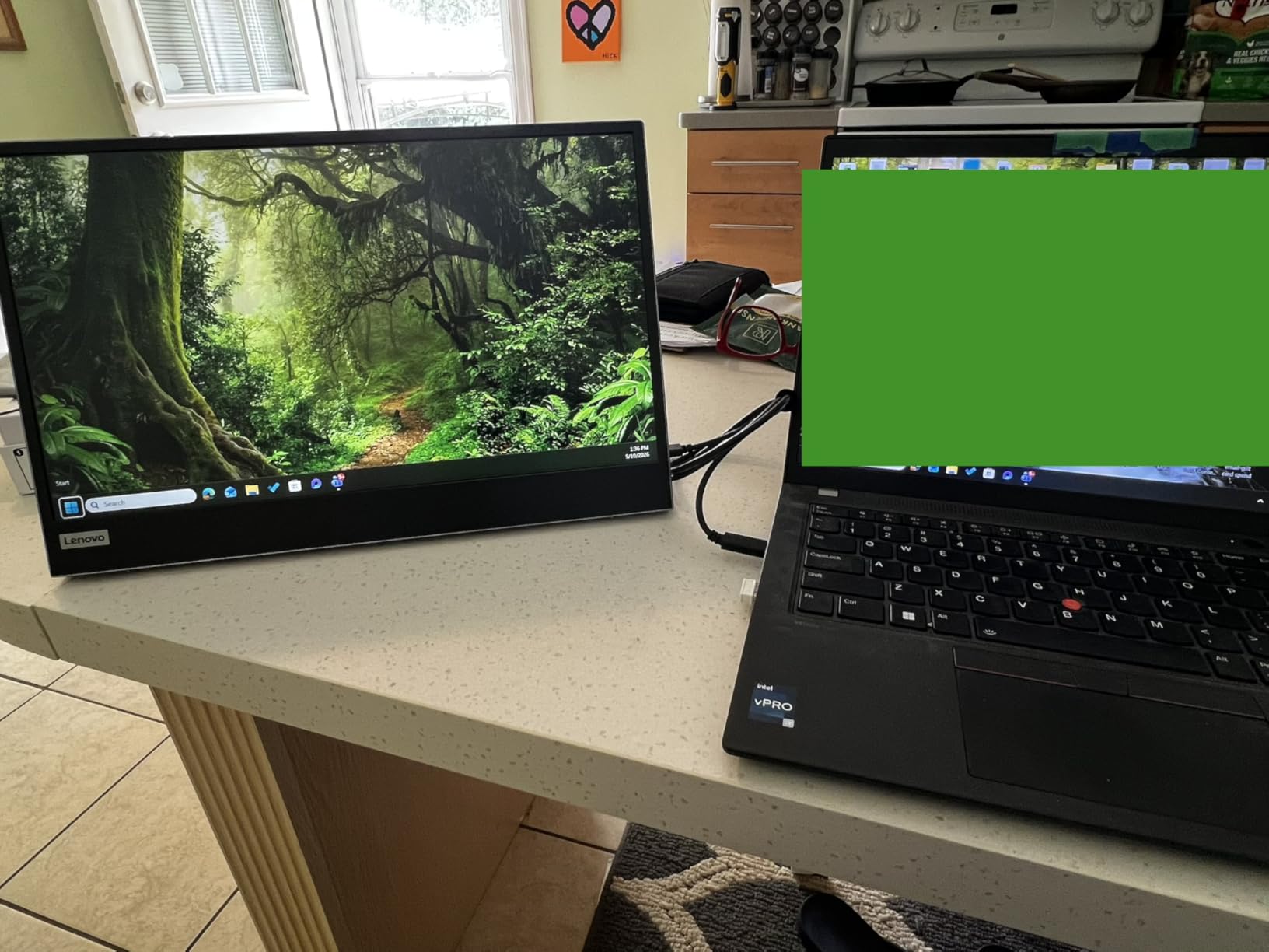 Lenovo L15 Portable Monitor, 15.6” Display, Full HD Resolution, IPS Panel, 250 nits Brightness, 60Hz Refresh Rate, USB-C Ports, Height-Adjustable Stand, Flicker-Free Technology, Grey customer photo 1