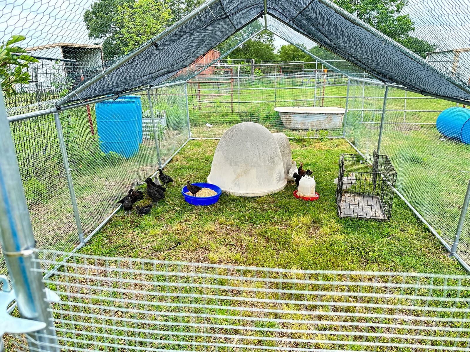 Large Metal Chicken Coop, Walk-in Poultry Cage Galvanized Hen Playpen House Dome Shaped Coop with Waterproof and Anti-Ultraviolet Cover and Lockable Door for Outdoor, Backyard Farm (12.5’ L x 9.2’ W) customer photo 2