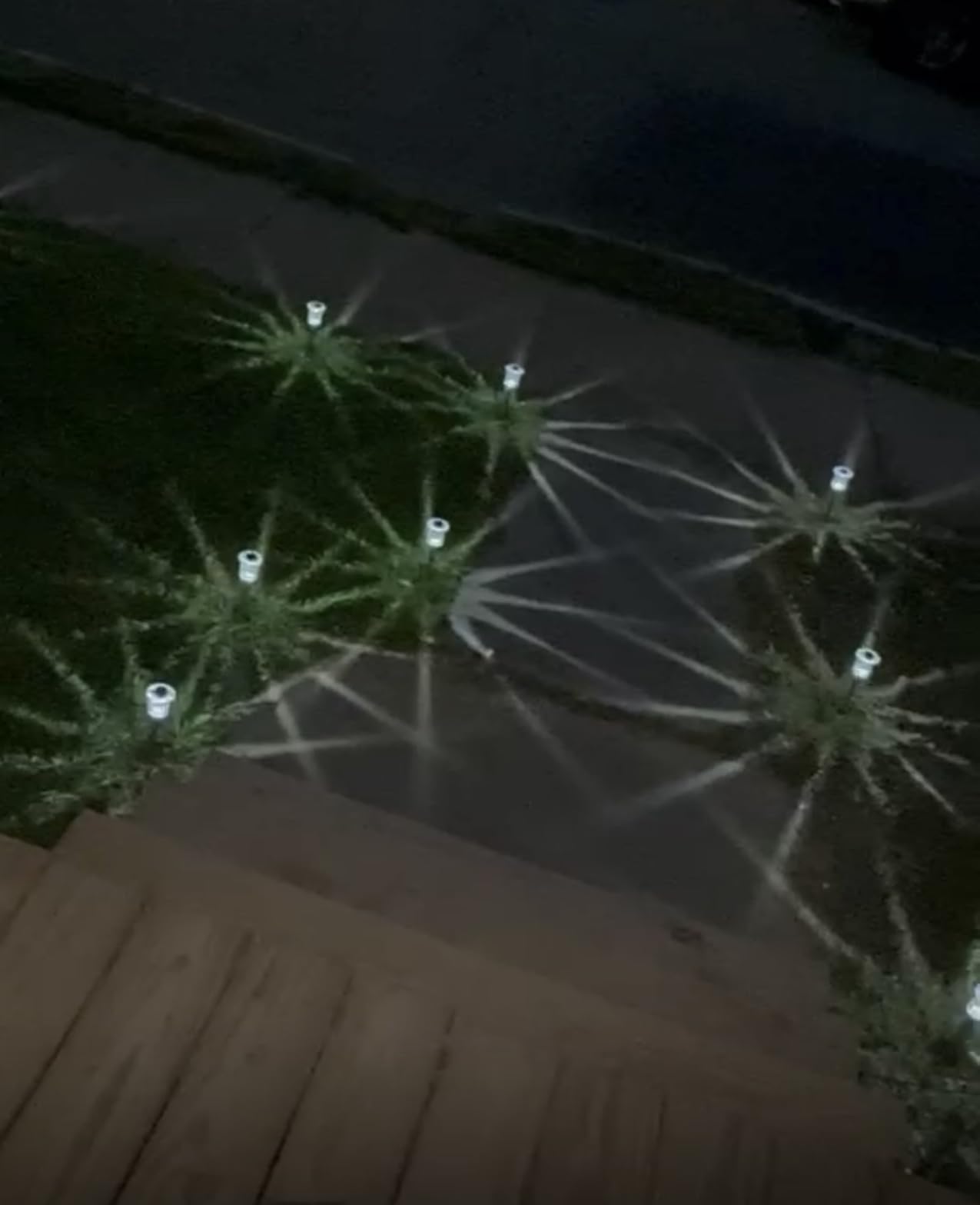 10 Pack Solar Pathway Lights Outdoor Waterproof, Cool White LED customer photo 2
