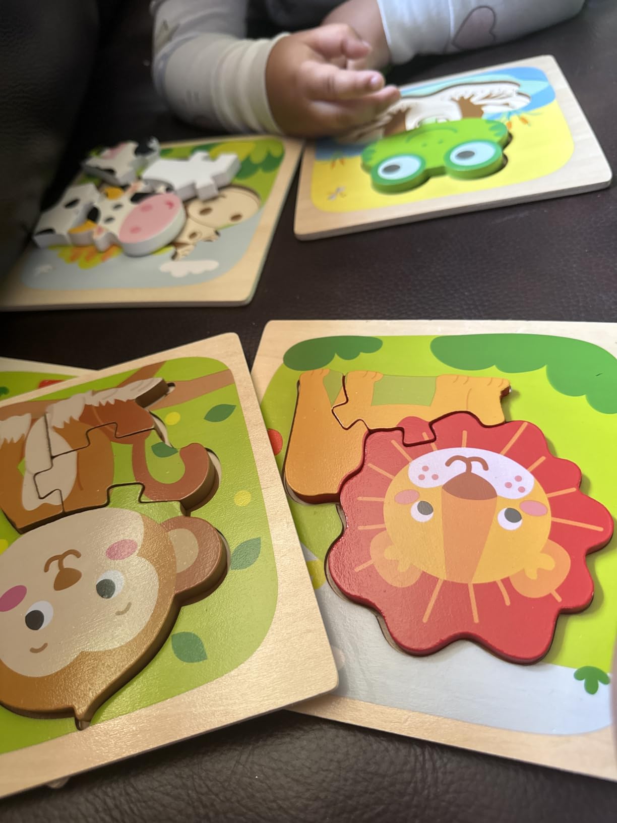 Benresive Wooden Toddler Puzzles, Montessori Toddler Toys for 1 2 Year Old customer photo 1