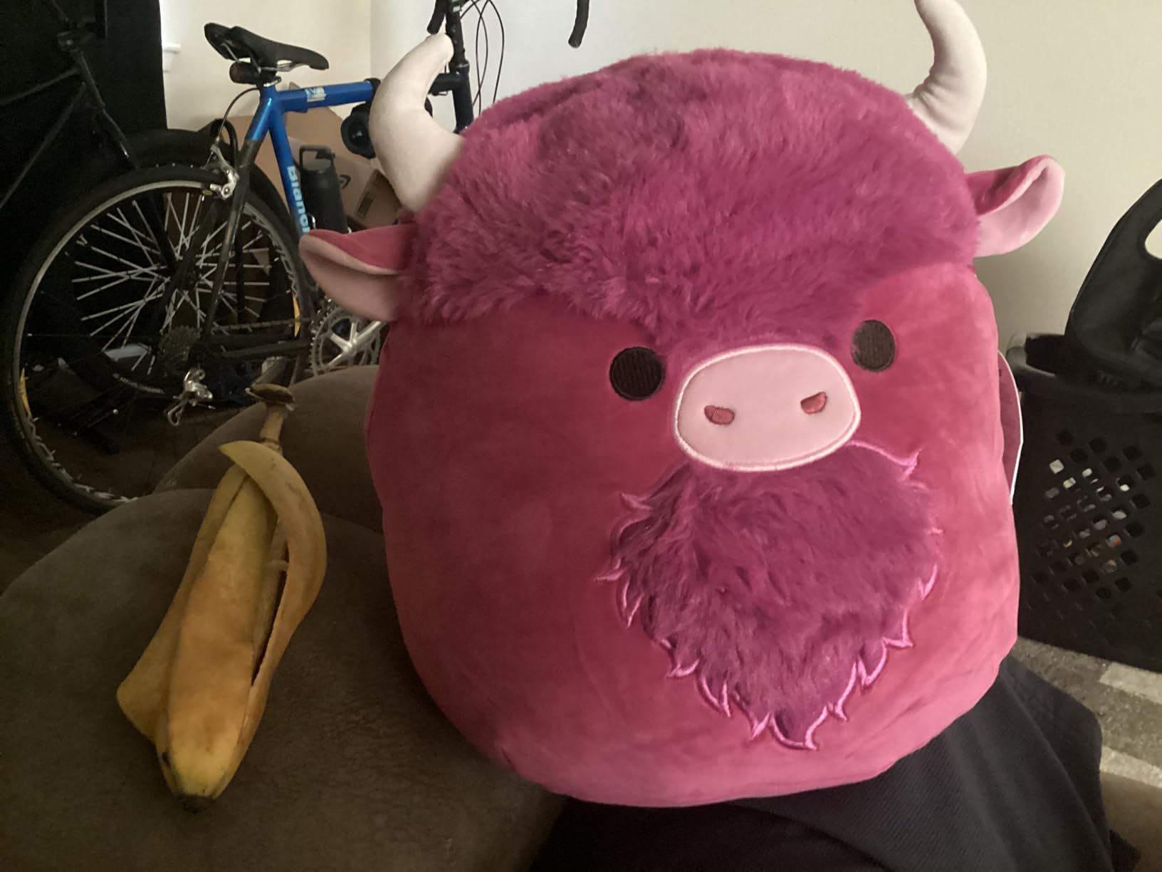 Danny Dino 12-Inch customer photo 2