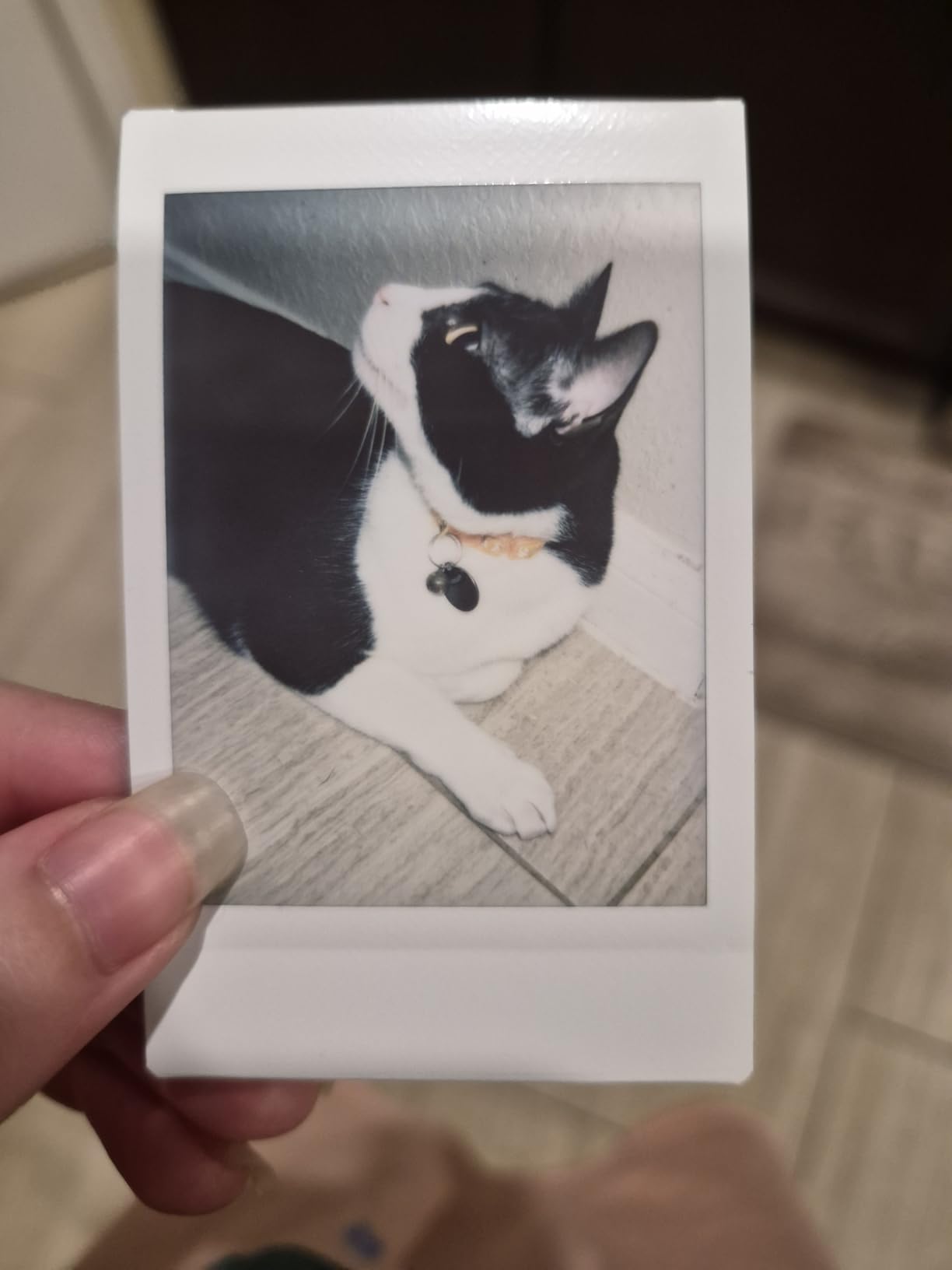Fujifilm Instax Mini 12 customer photo 2