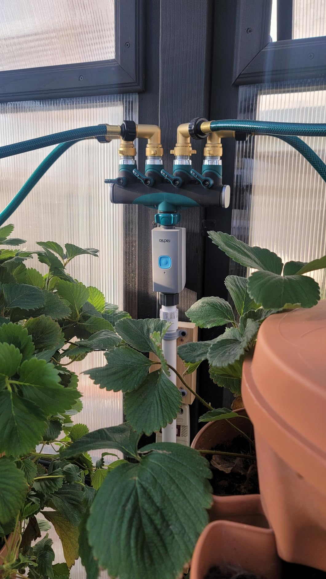 Rachio Smart Hose Timer: App-Controlled Faucet Timer. 1 Valve + 1 WiFi Hub customer photo 2