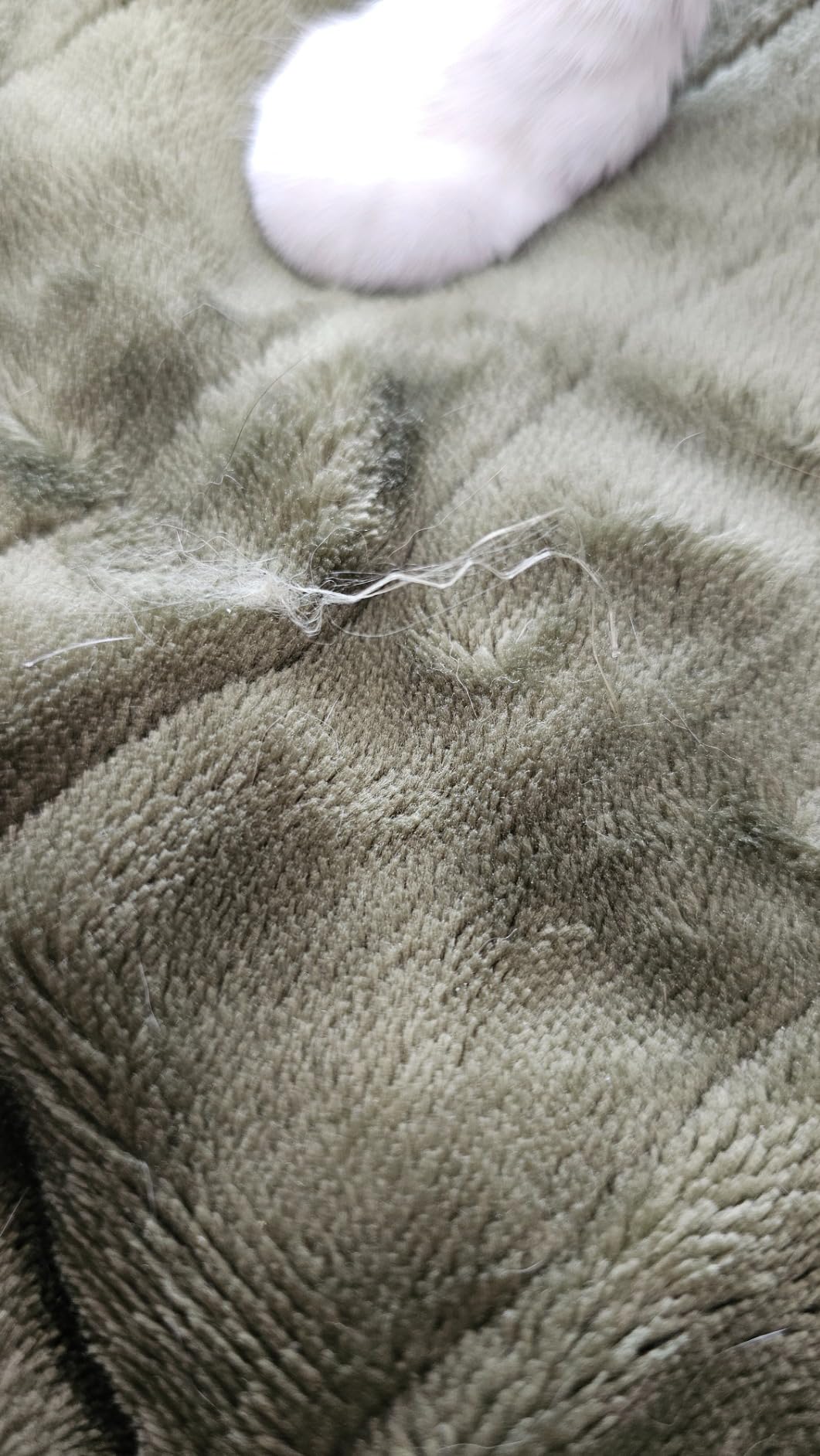 Bedsure Flannel Throw customer photo 2