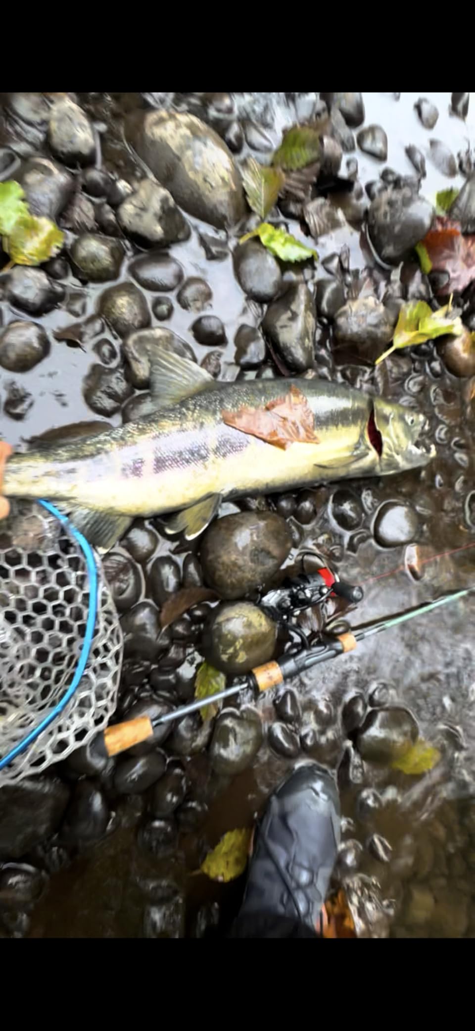 Handing M1 Spinning Reel Freshwater customer photo 2