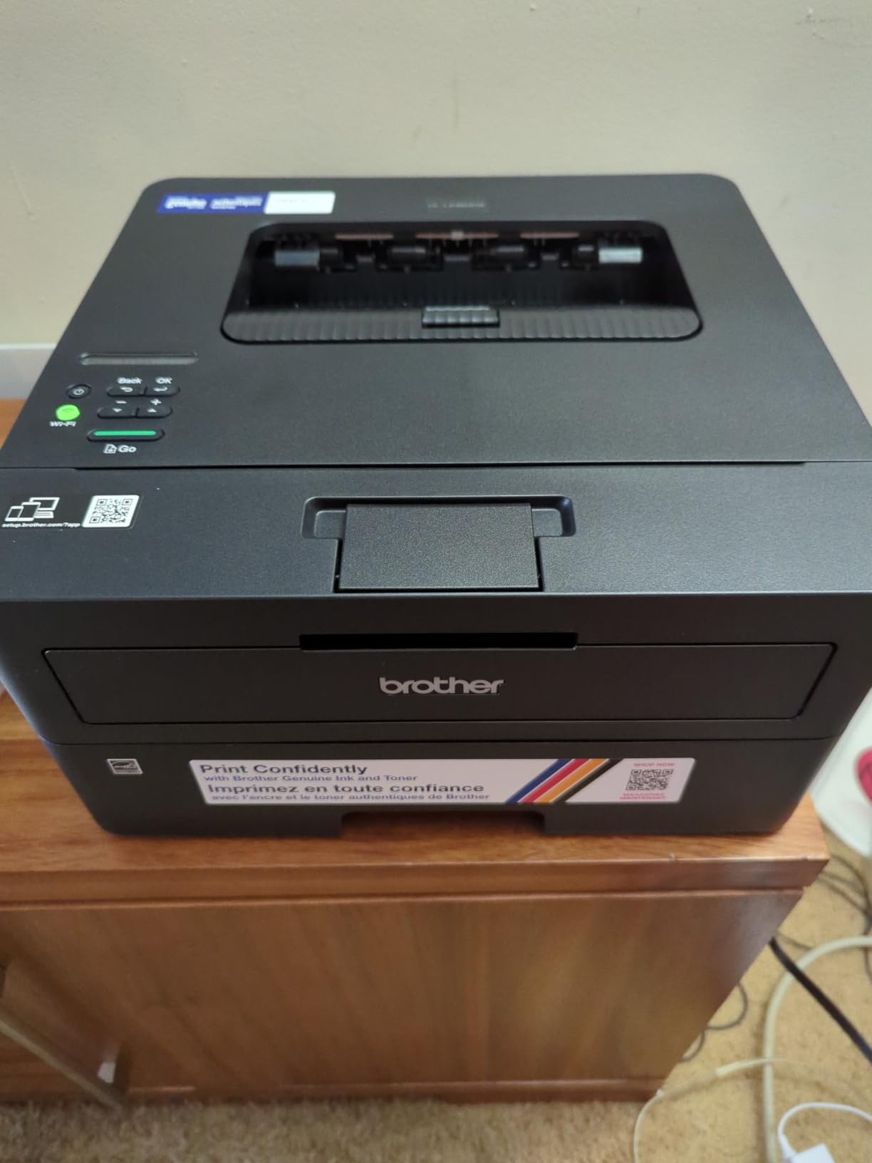 Brother HL-L2460DW customer photo 1