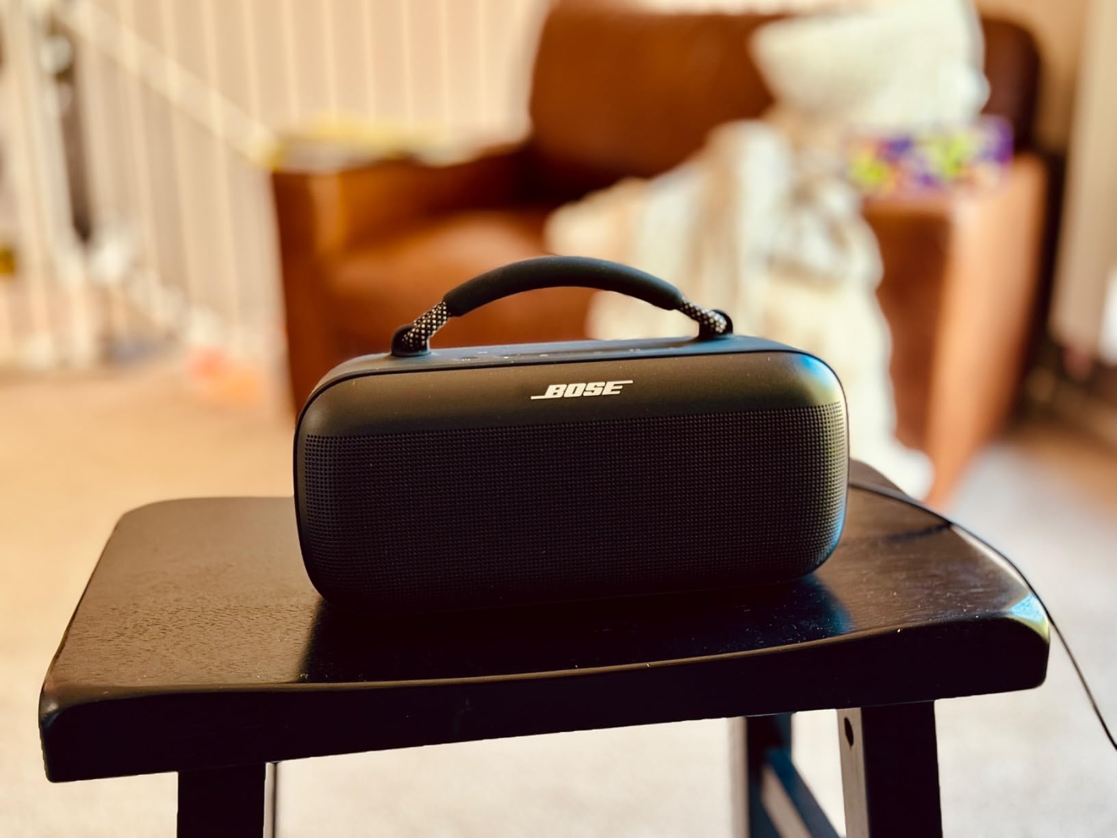Bose SoundLink Max customer photo 1