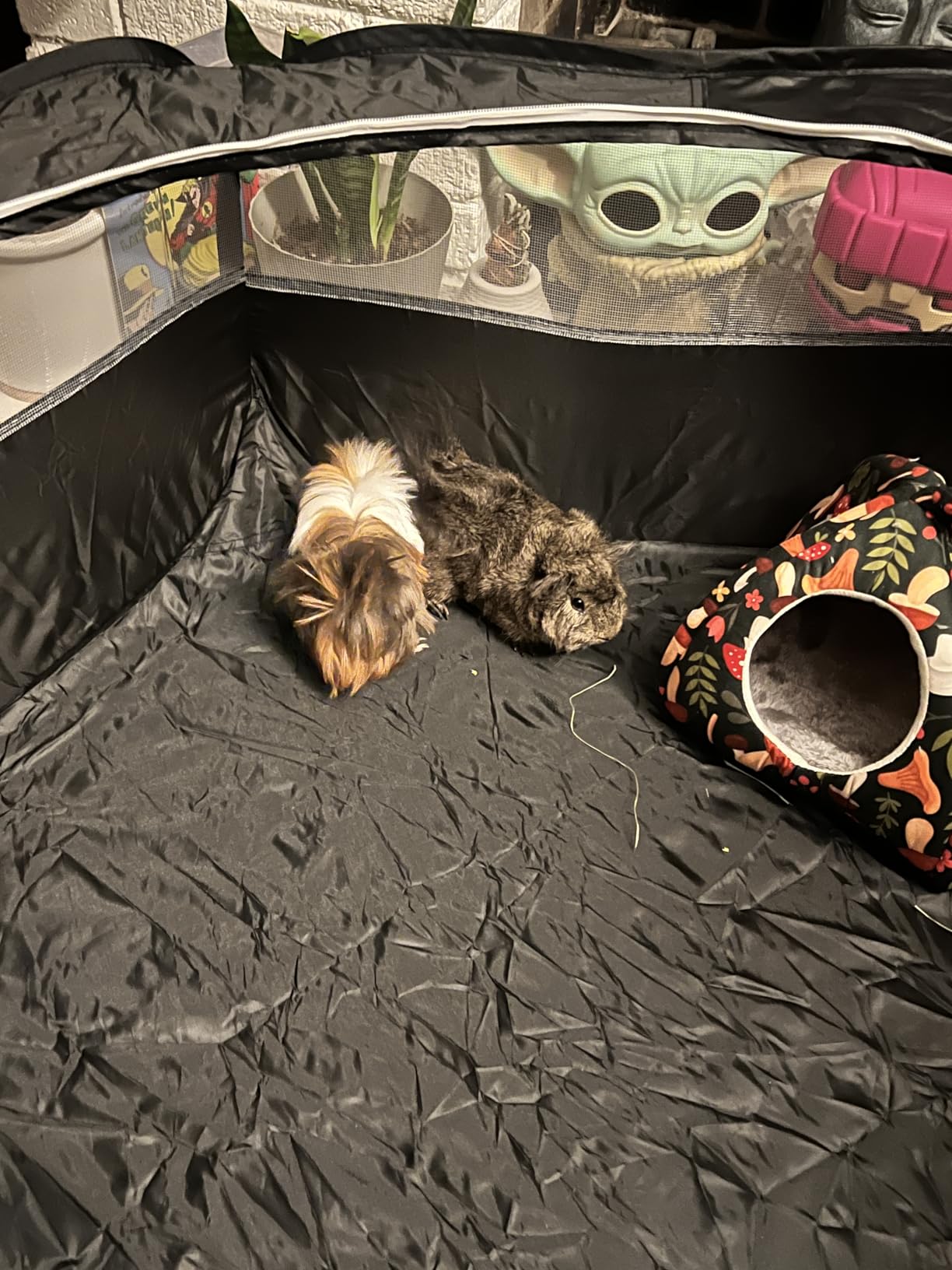 UWE Small Animal Playpen, Waterproof Foldable Pet Playpen, Black customer photo 1