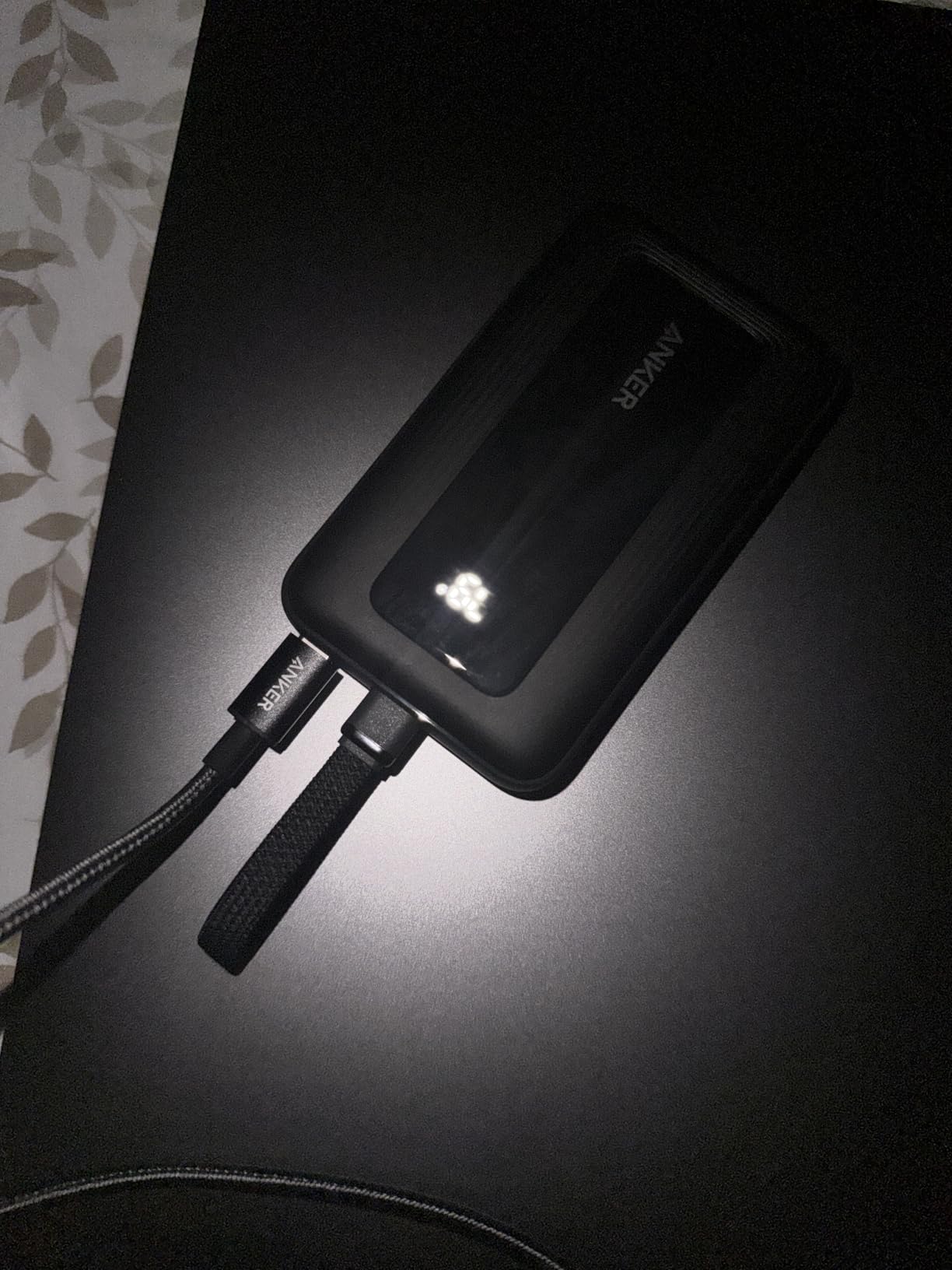 Anker 10000 30W customer photo 1