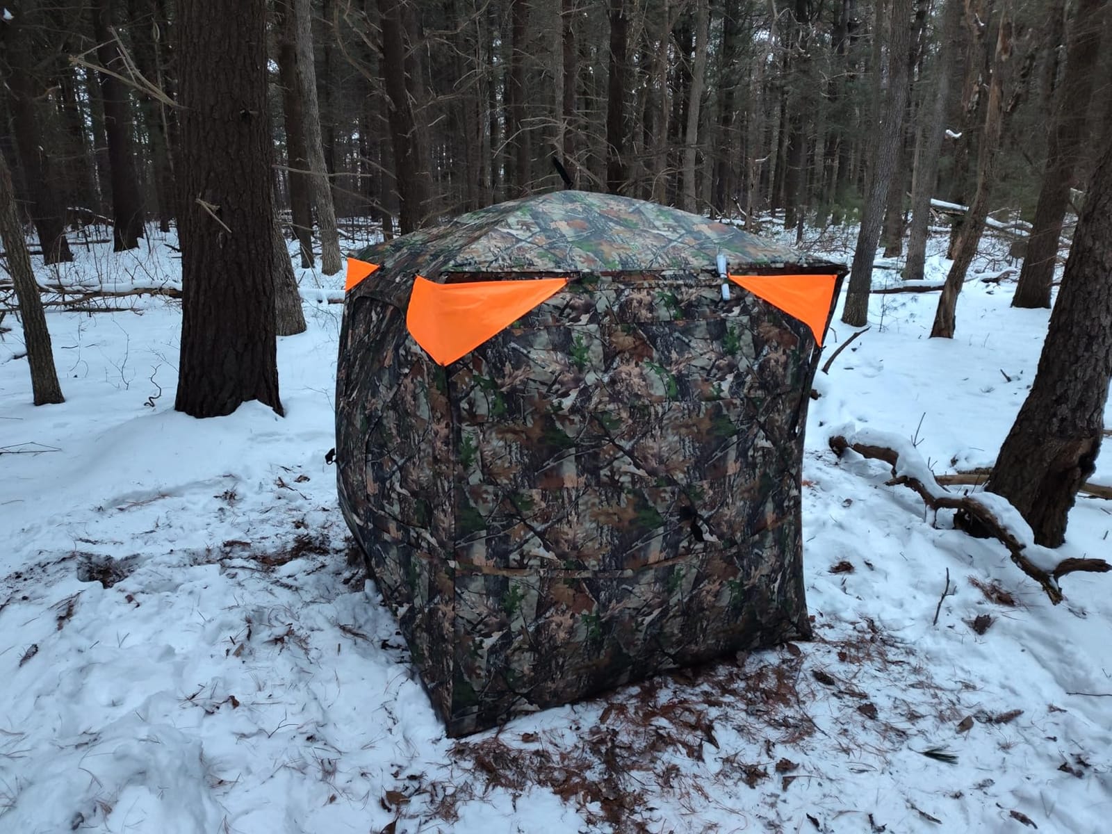 TIDEWE Hunting-Blinds BL008-AMZ customer photo 1