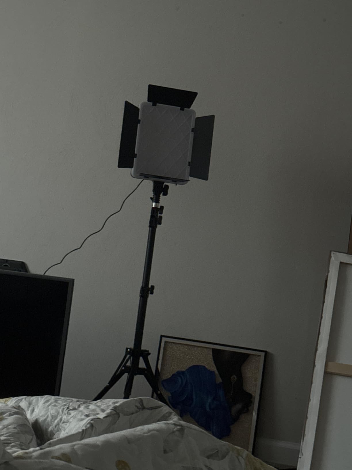 NiceVeedi 2-Pack Photography Lighting Kit, 36W Bi-Color Studio Lights 2700-6500K CRI 95+, Dimmable LED Video Light Kit with Remote Control & 72” Tripod Stand, Lighting for Video Recording/Photography customer photo 1
