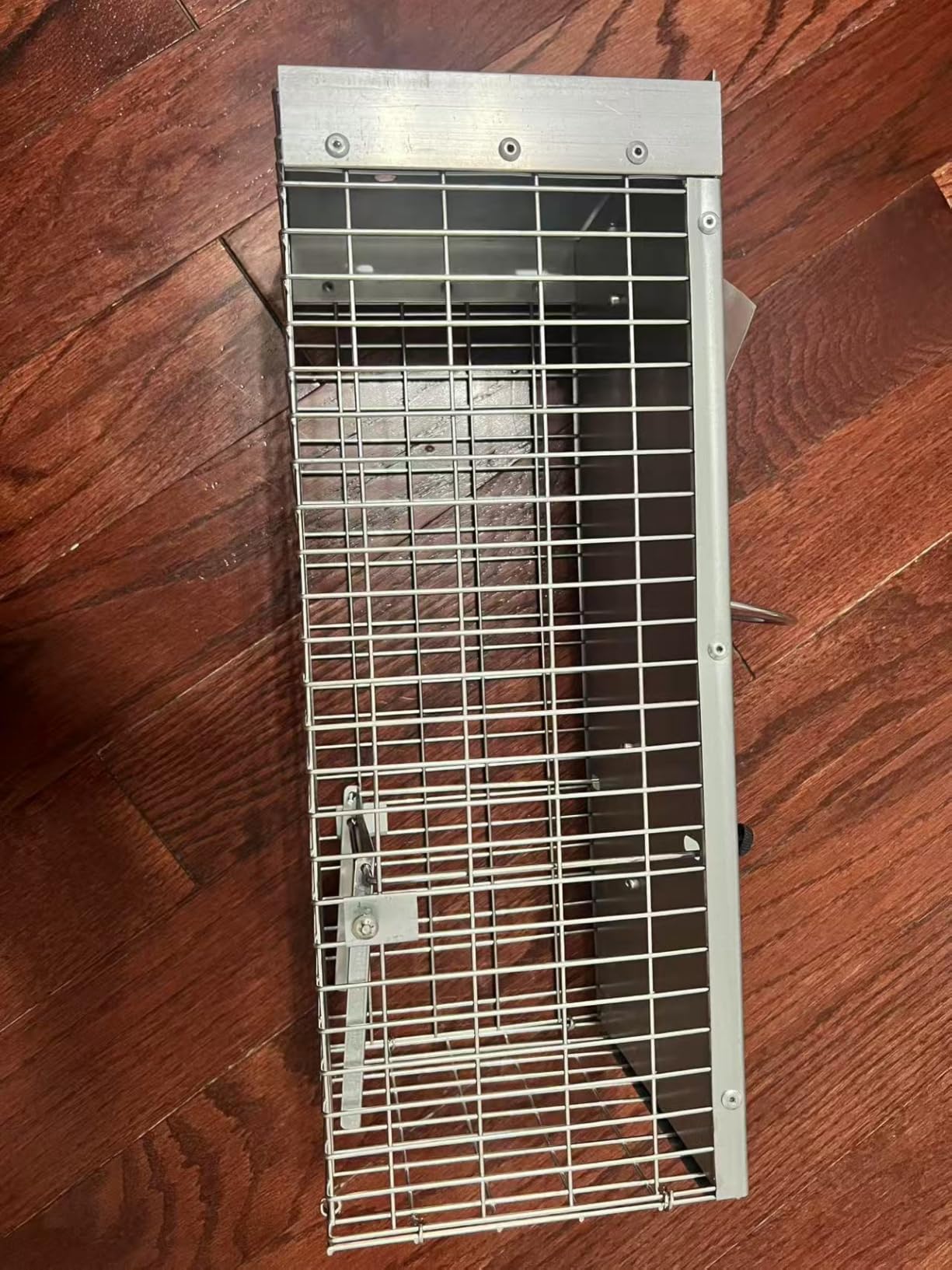 Squirrel Traps, Live Animal Cage Trap Humane Catch and Release Mice, Rats, Chipmunks, and Other Rodents, Outdoor Garden, Yard and Attic customer photo 2